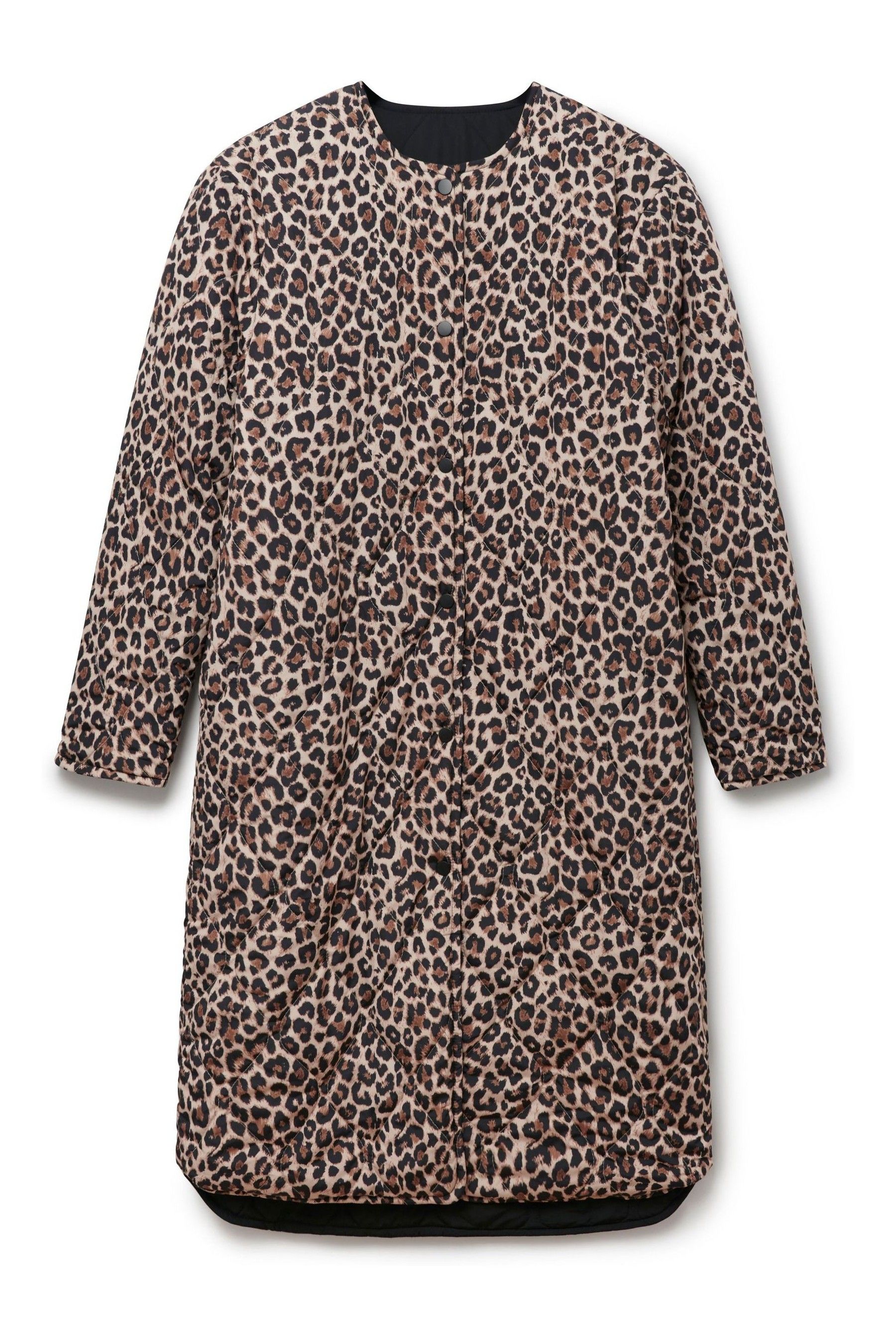 Buy Another Sunday Reversible Longline Padded Coat In Leopard Print And Black from Next Australia