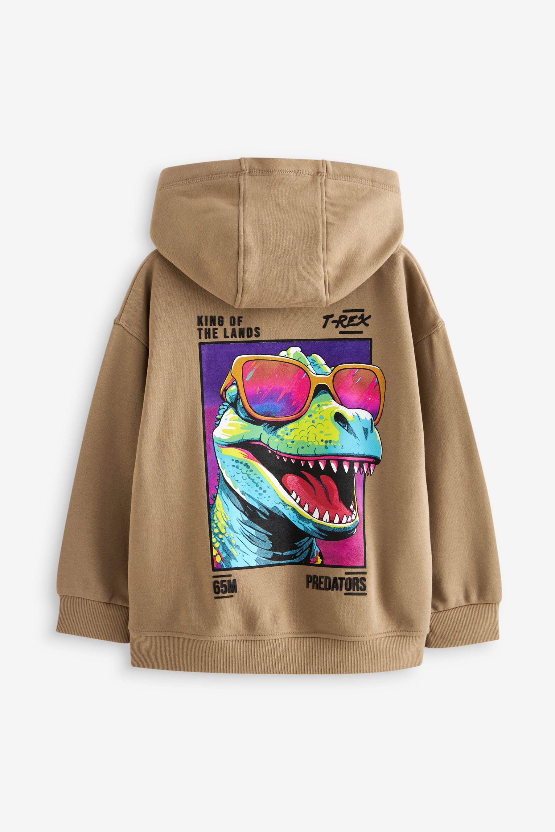 Buy Stone Dino Back Print Graphic Hoodie 3 16yrs from Next Luxembourg