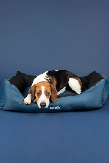 Scruffs Atlantic Blue Expedition Travel Dog Box Bed