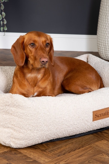 Scruffs Ivory Boucle Dog Box Bed