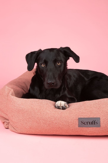 Scruffs Coral Pink Thermal Dog Box Bed
