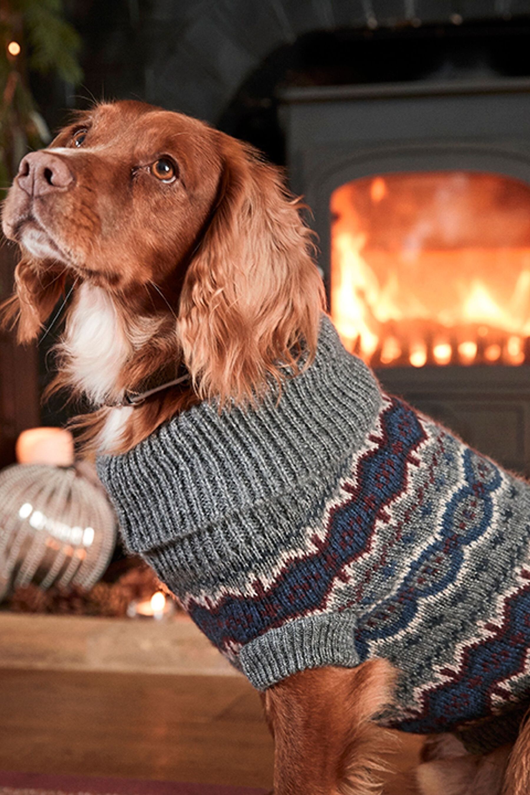 Fairisle new arrivals dog jumper