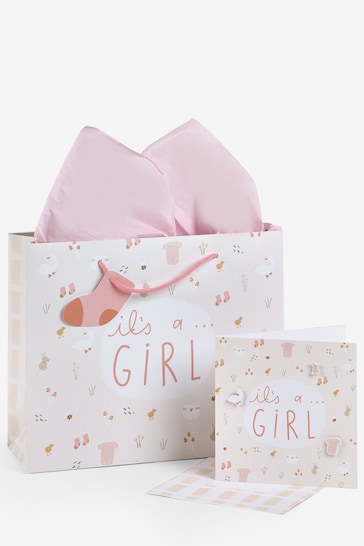 Pink Baby Icons Gift Bag and Card Set