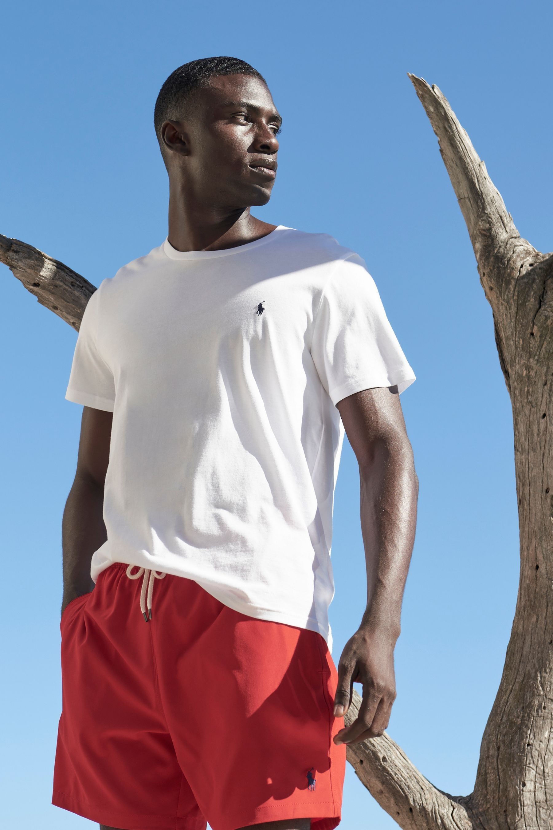 Buy Polo Ralph Lauren Logo Cotton Jersey T Shirt from the Next UK online shop