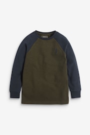 Multi 3 Pack Long Sleeve Raglan T-Shirts (3-16yrs) - Image 4 of 6