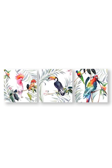 Art For The Home Set of 3 White Tropical Amazon Birds Canvases
