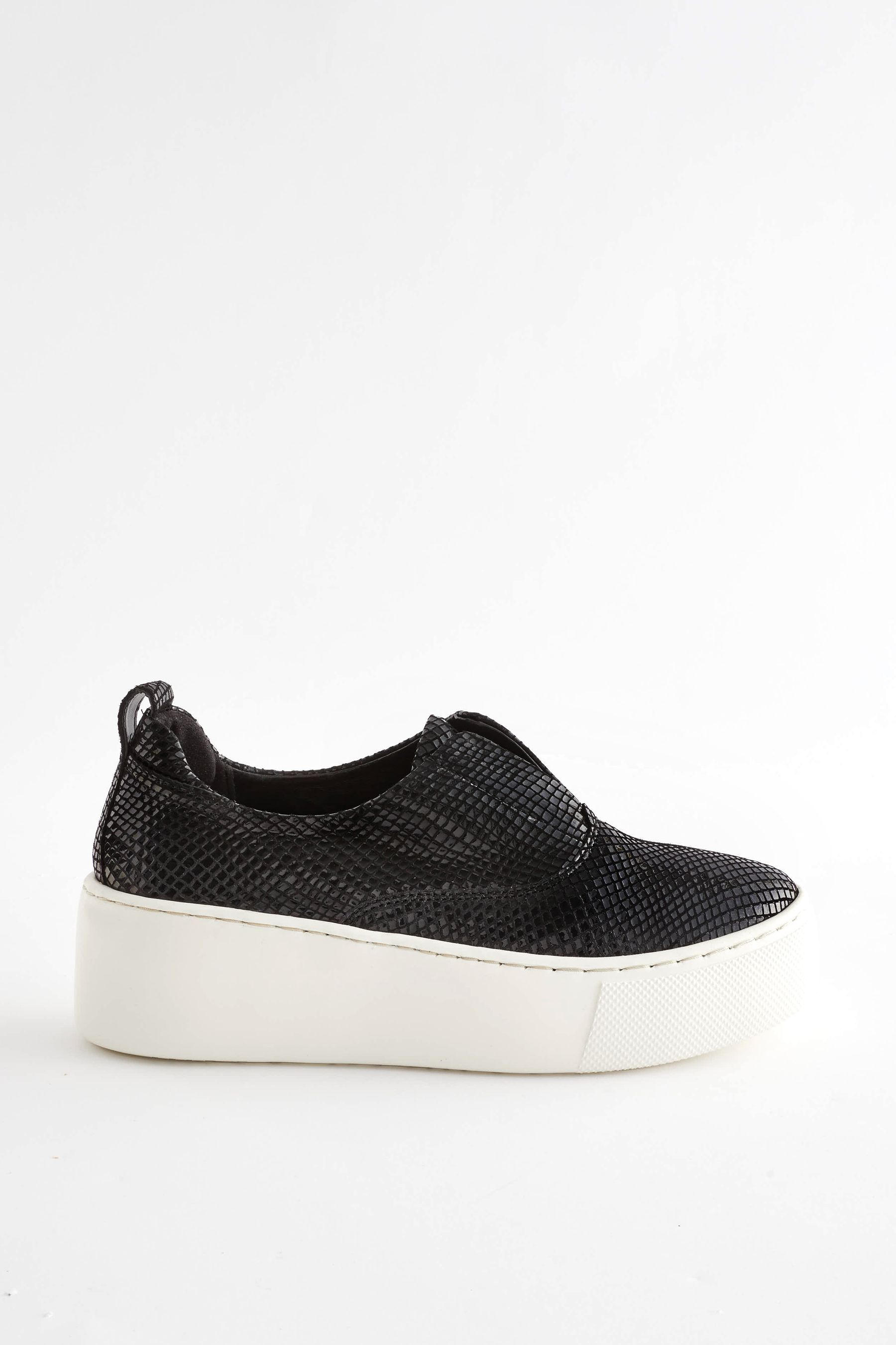 Next platform trainers online