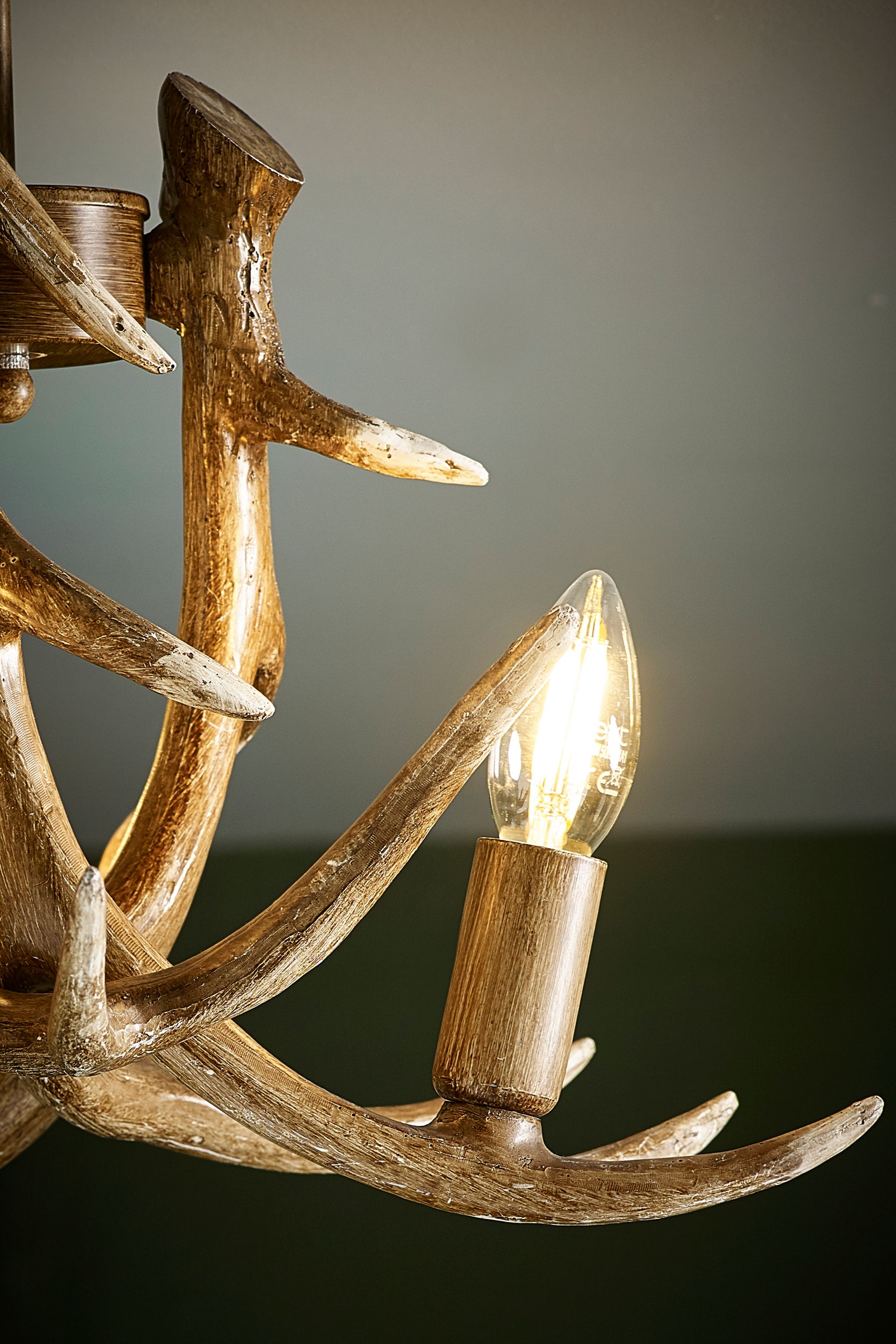 Antler cheap light fitting