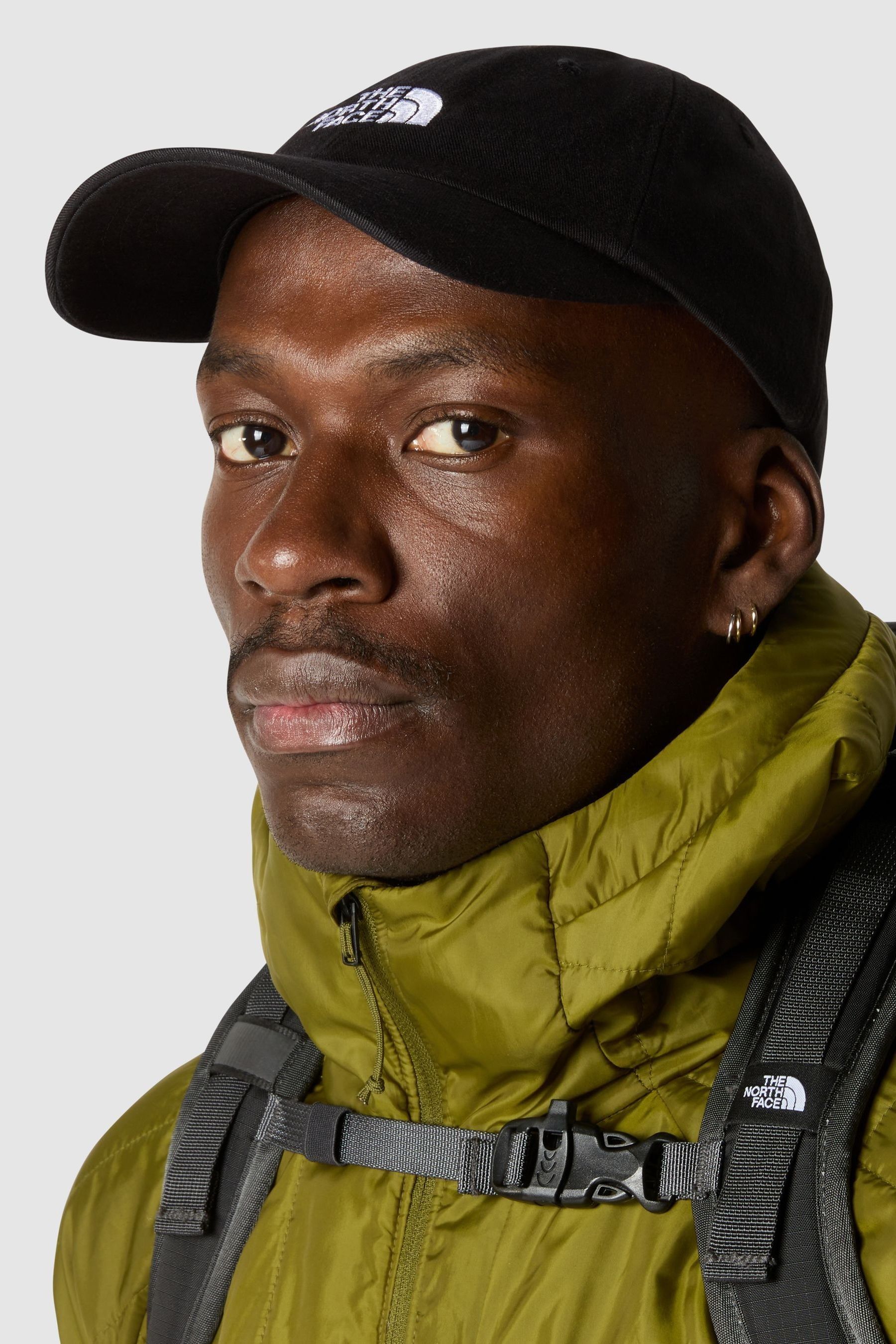 The north face fitted hat cheap