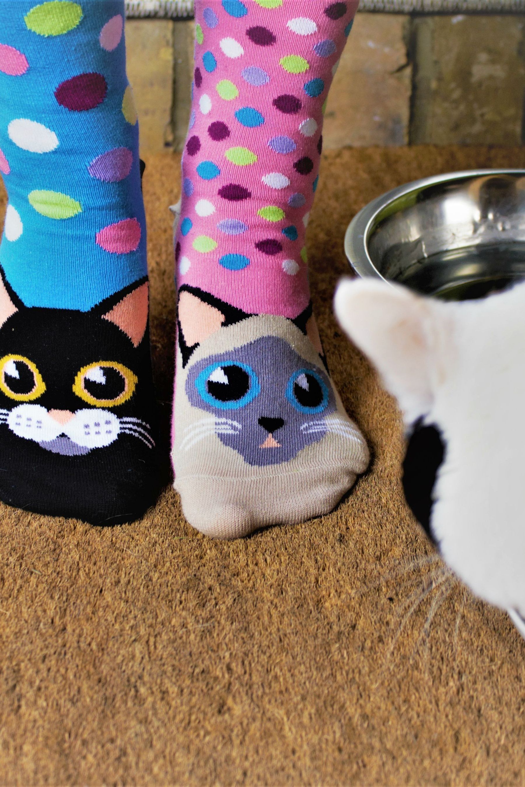 United Odd Socks Multi Cat Catwalk Socks