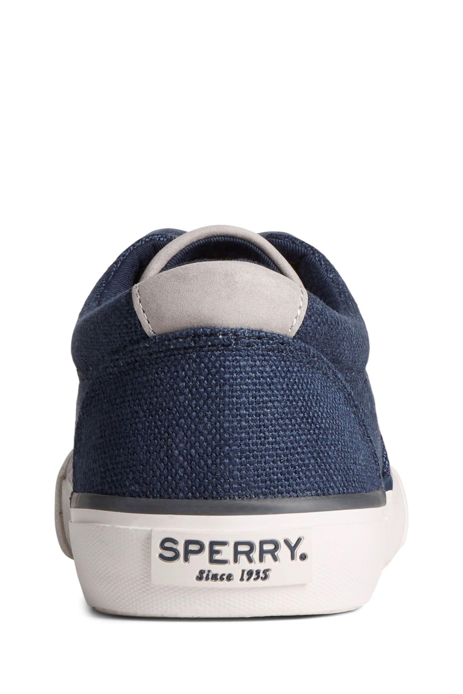Striper ii baja cvo sneaker sales