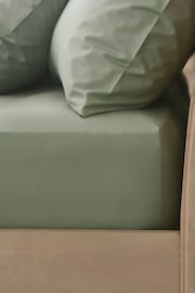 Green Deep Fitted Collection Luxe 200 Thread Count 100% Egyptian Cotton Percale Sheet - Image 1 of 1