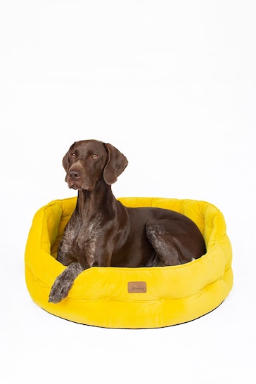 Joules Yellow Yellow Chesterfield Pet Bed