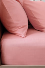 Pink Rose Cotton Rich Deep Fitted Sheet - Image 1 of 2