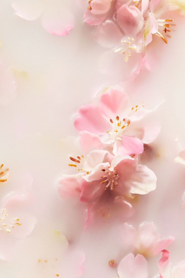 Rituals The Ritual of Sakura Mini Fragrance Sticks 70ml - Image 3 of 5