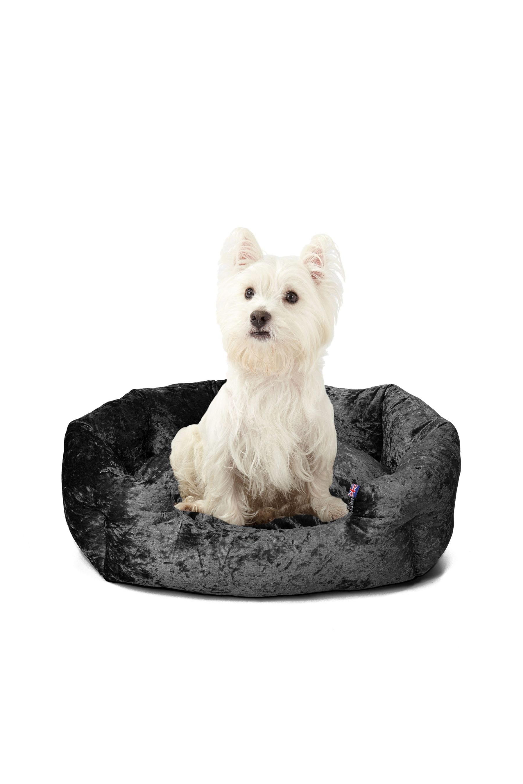 Bunty Black Bellagio Crushed Velvet Dog Bed