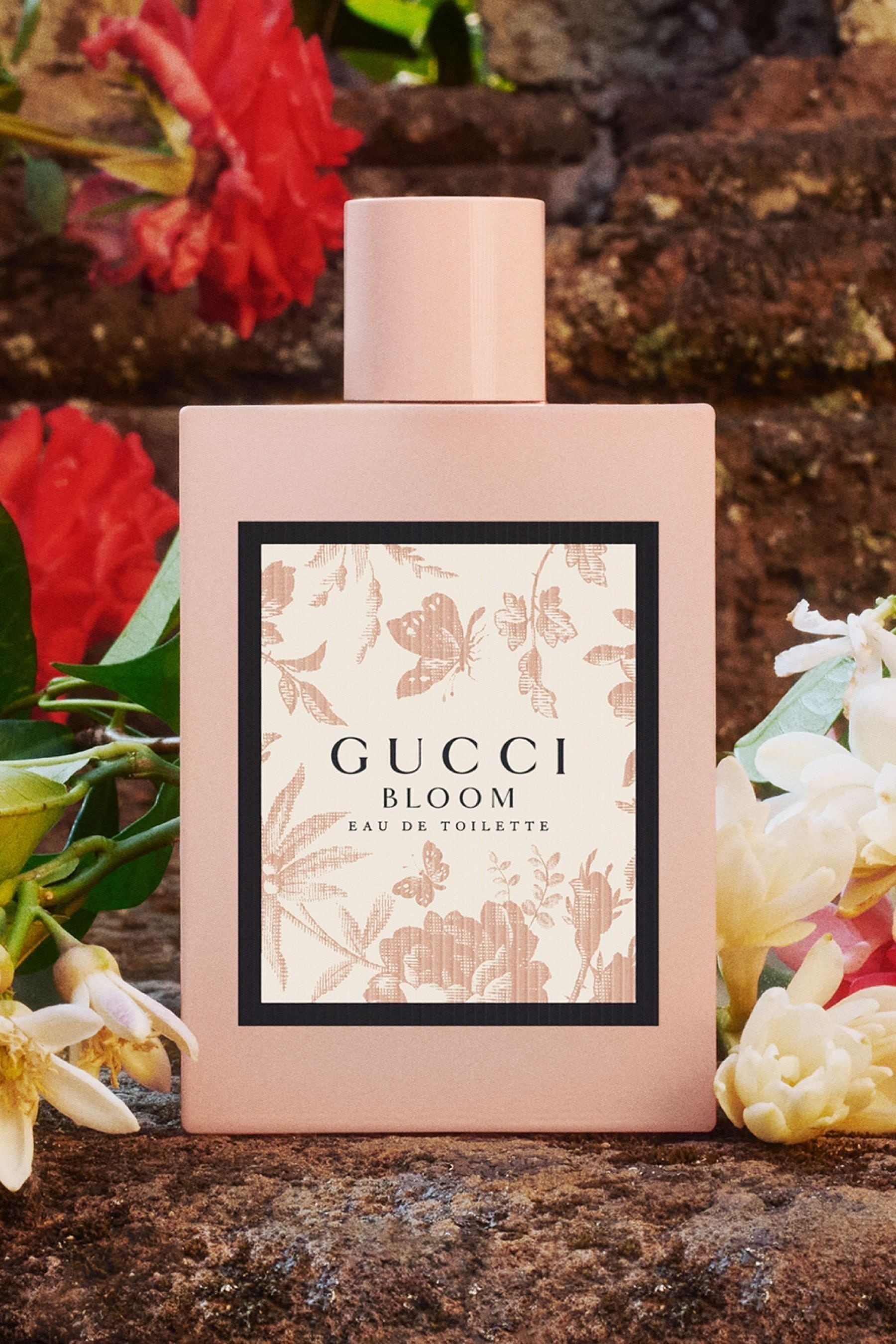 Gucci bloom 50ml boots top