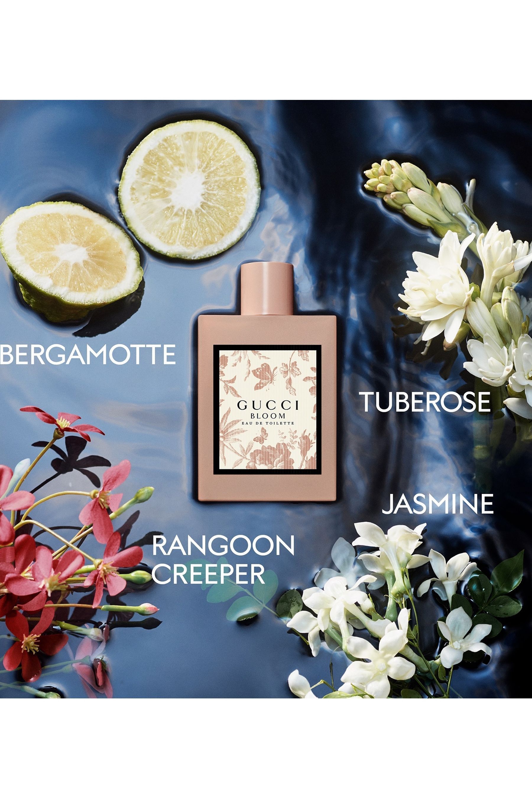 Buy Gucci Bloom Eau de Toilette 50ml from the Next UK online shop