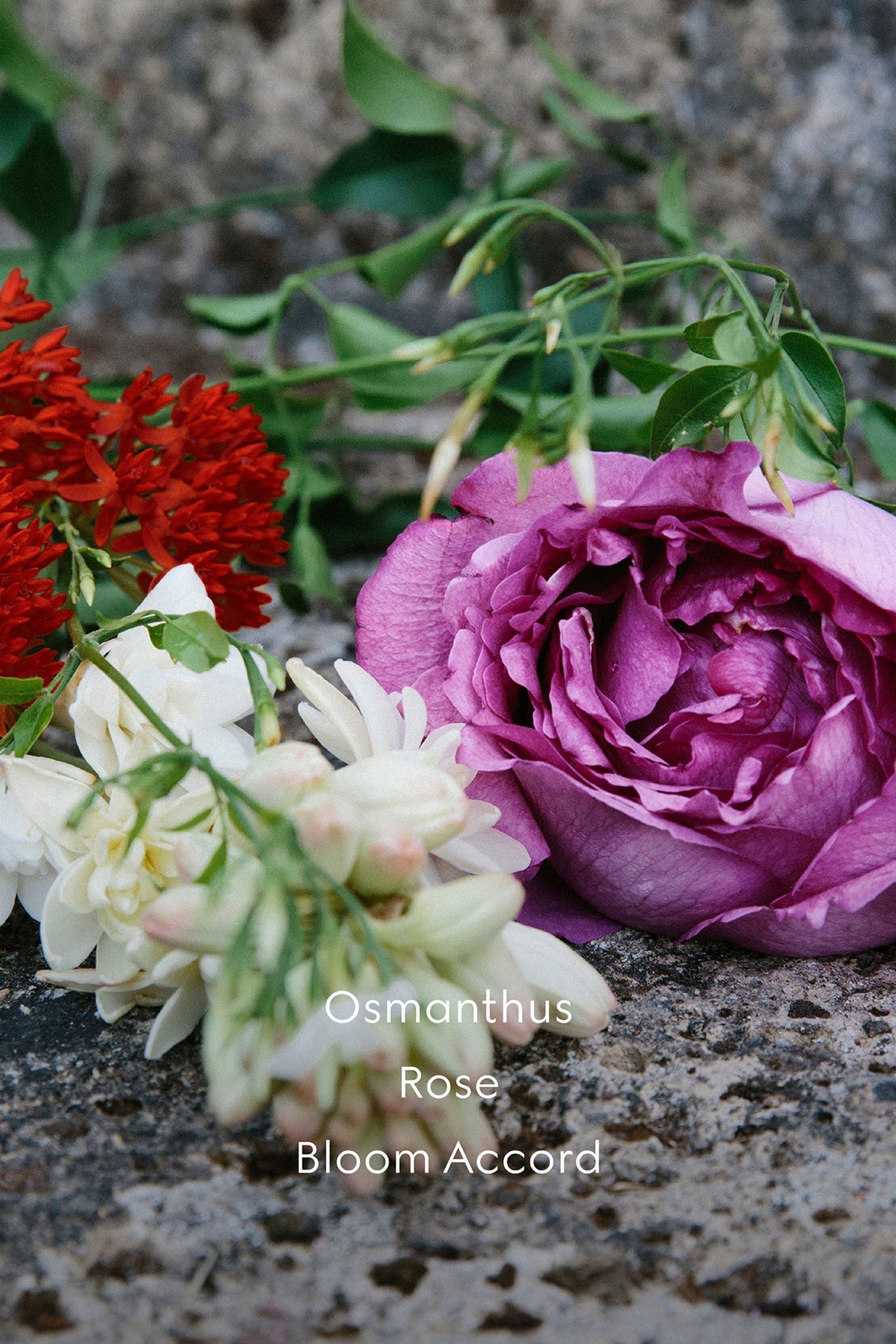Profumo gucci nettare di fiori shop