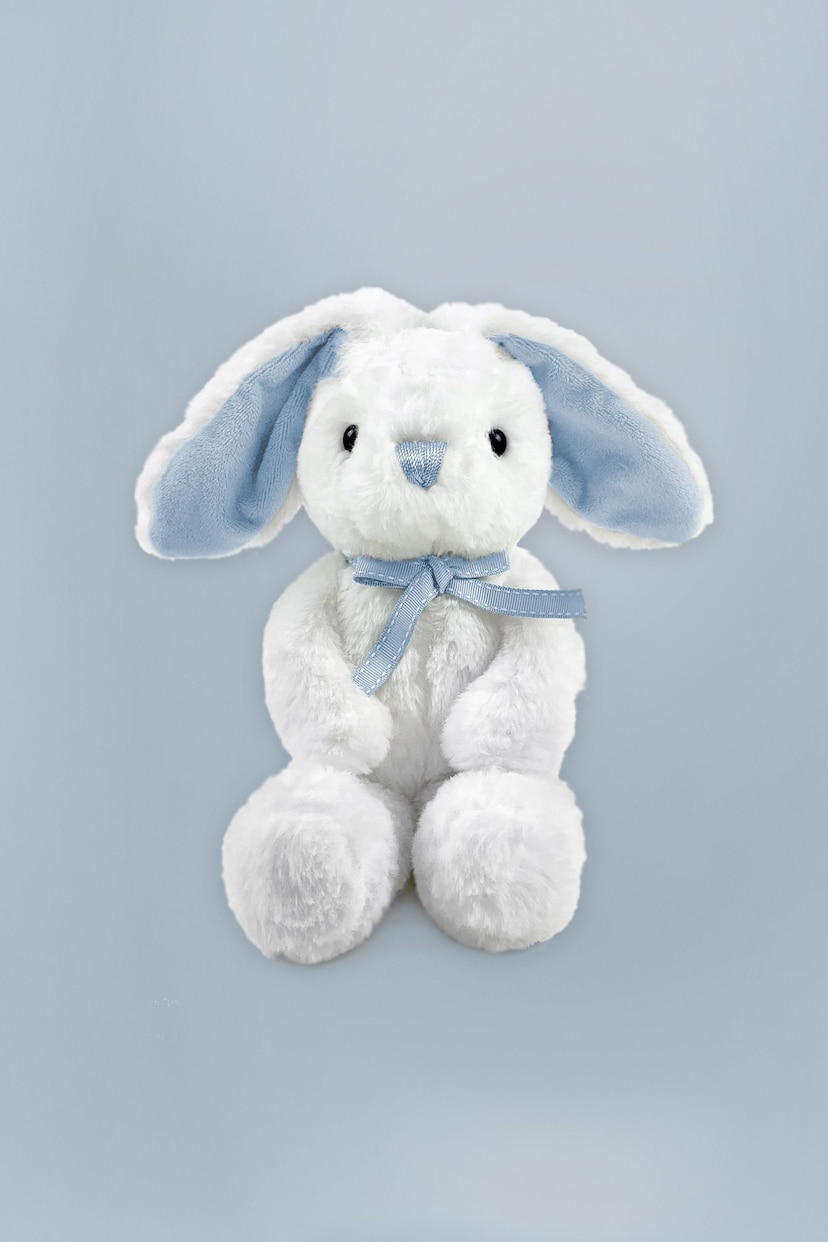 Babyblooms Blue Bunny Welcome Baby Gift - Image 2 of 8