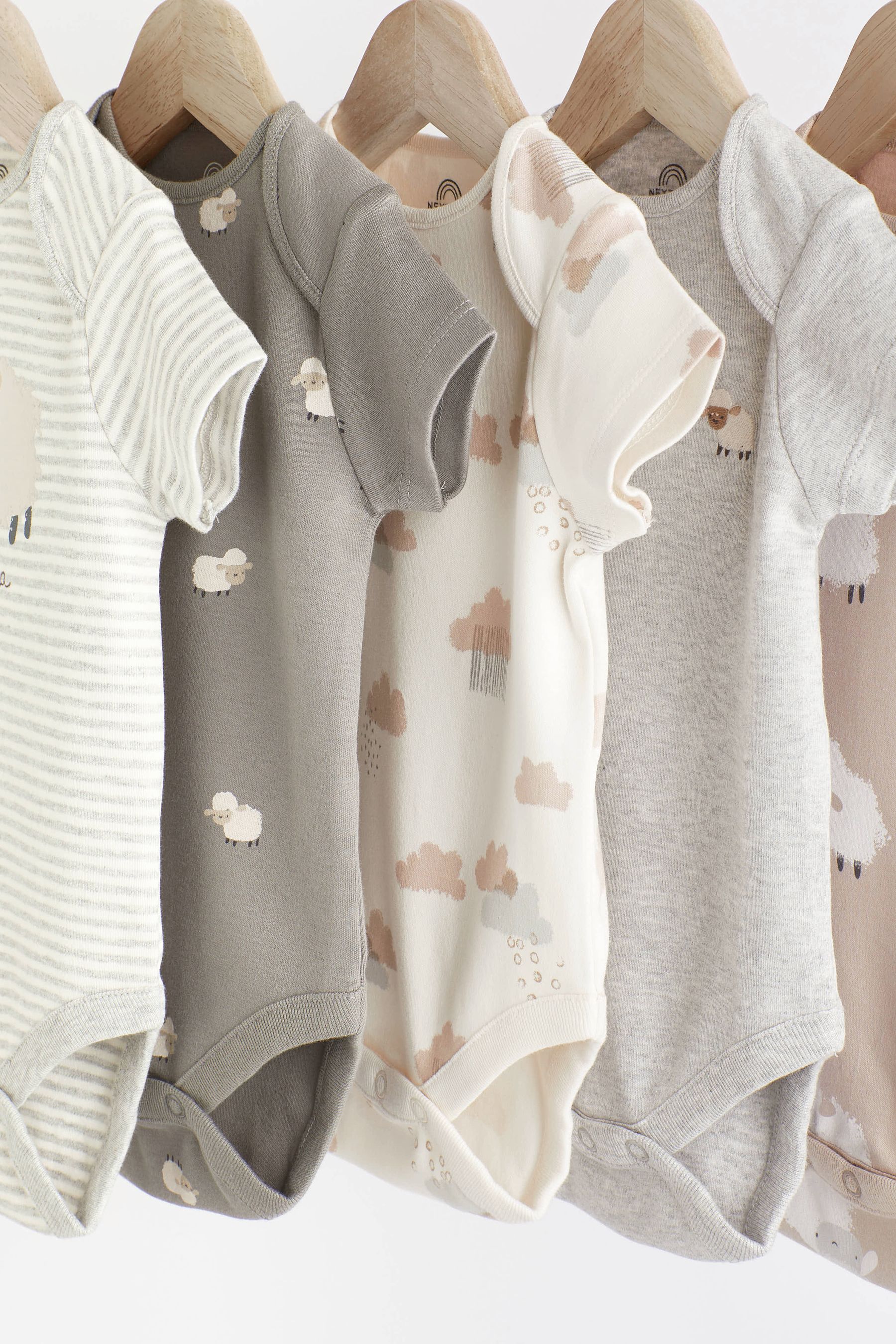 Sheep baby discount grow