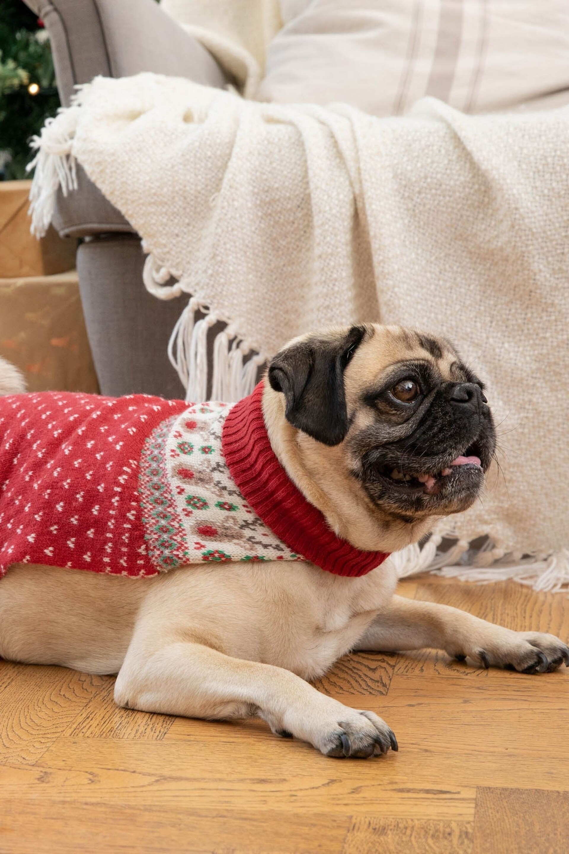 JoJo Maman Bébé Red Reindeer Fairisle Pattern Pets Jumper - Image 3 of 3