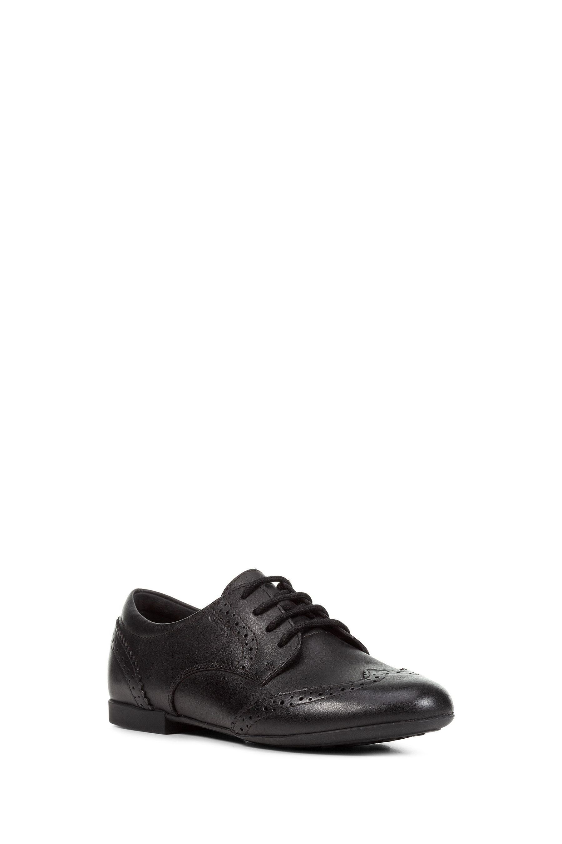 Geox uk online new arrivals