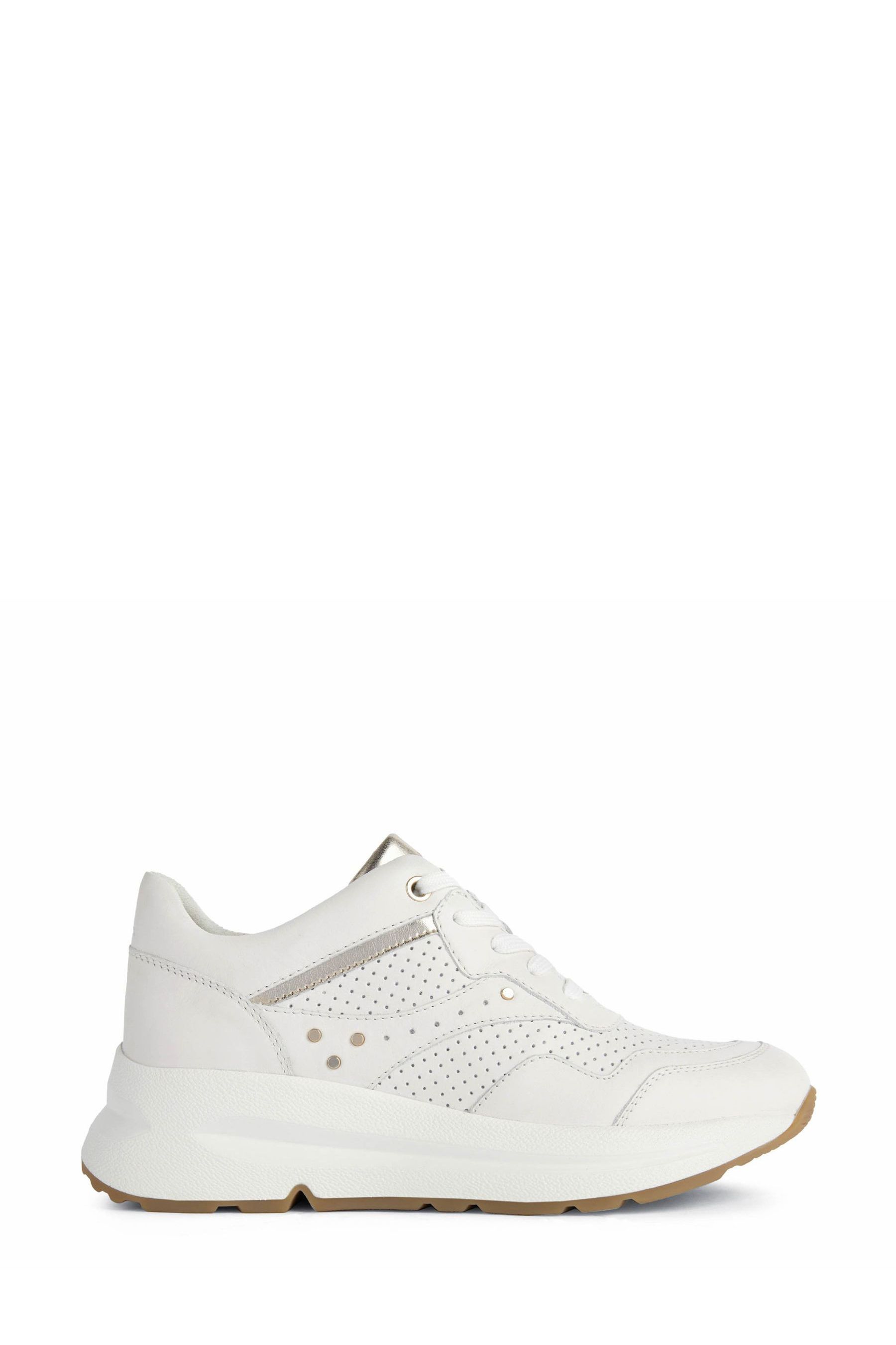 Geox backsie shop