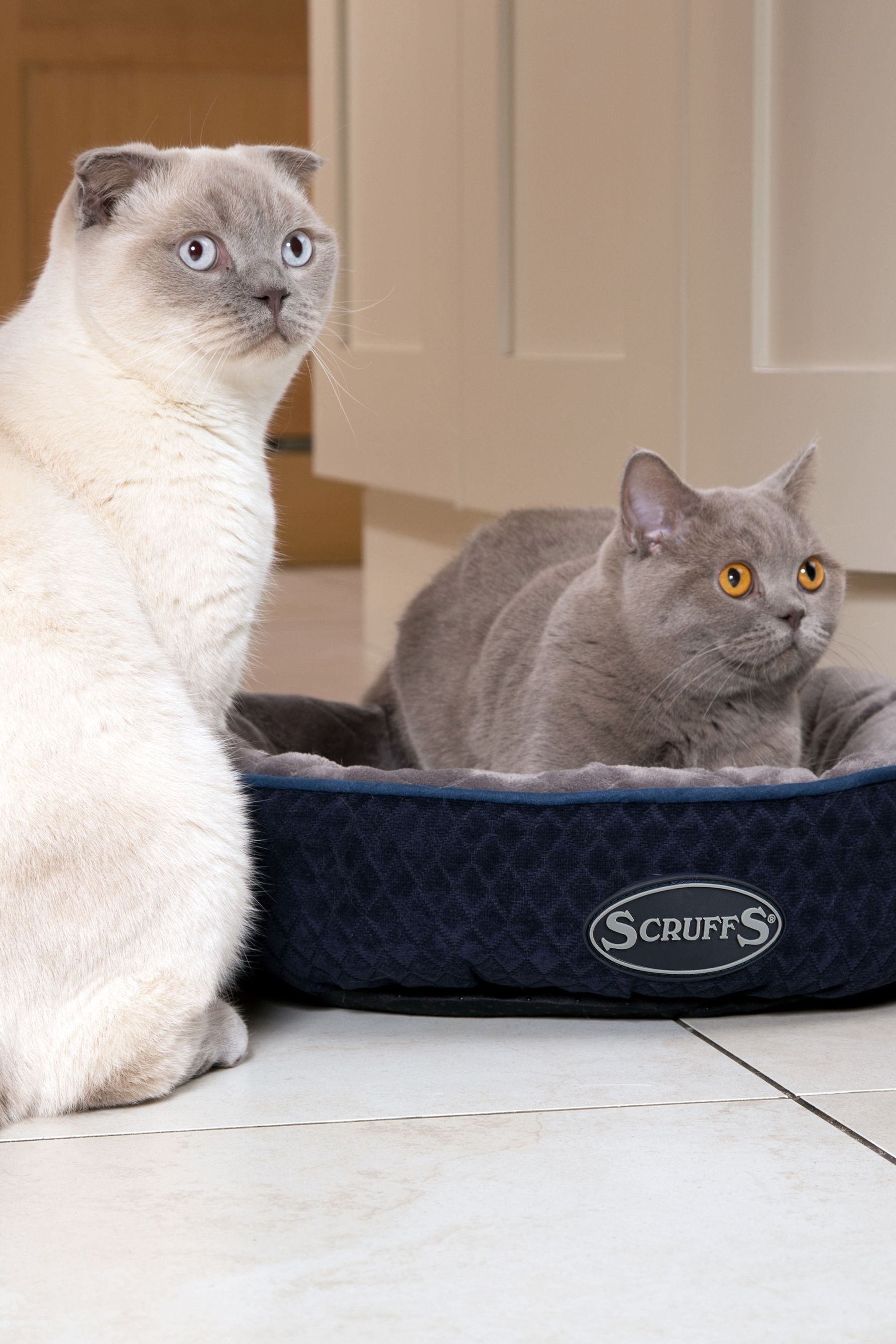 Buy Scruffs Blue Thermal Ring Bed from the Next UK online shop