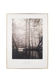 Pacific Black Mono Tree Print With Black Frame - Image 2 of 5