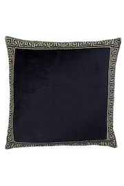 Riva Paoletti Black/Gold Apollo Embroidered Polyester Filled Cushion - Image 1 of 3