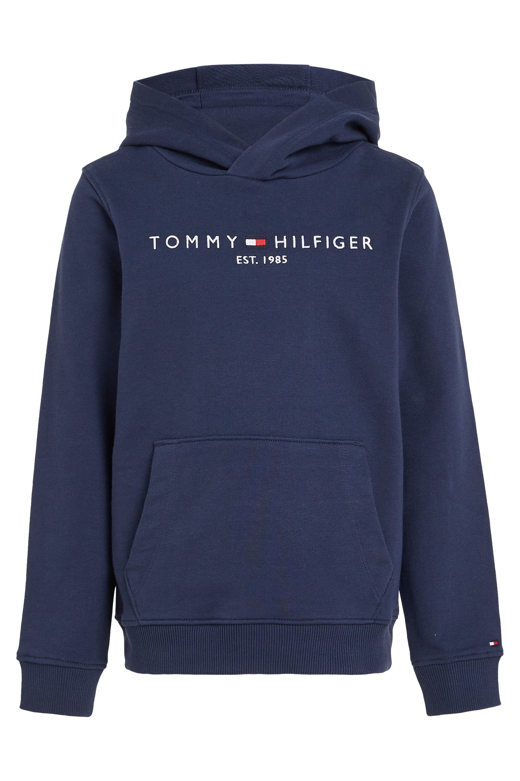 Blue tommy hoodie hot sale