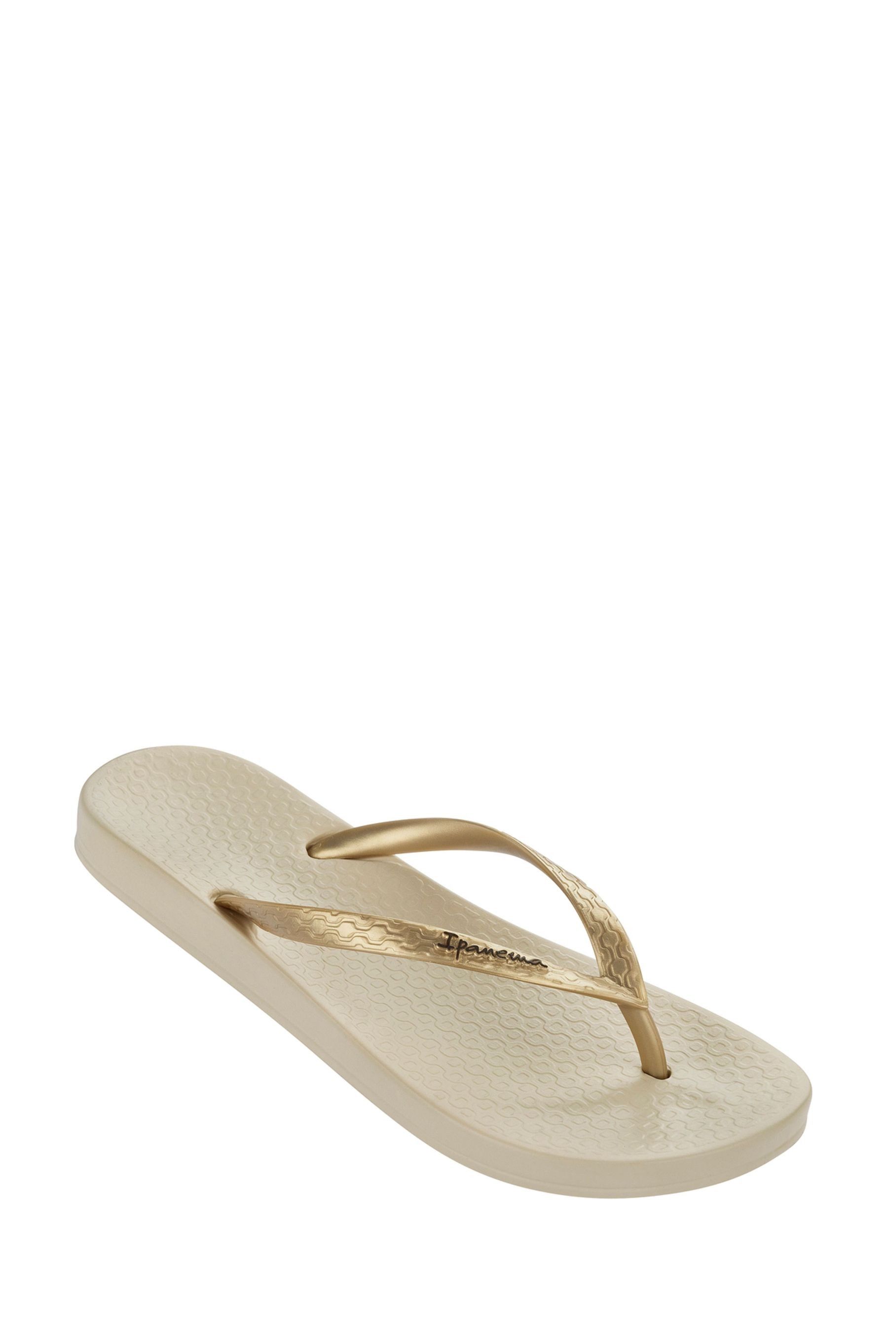 Ipanema anatomica online