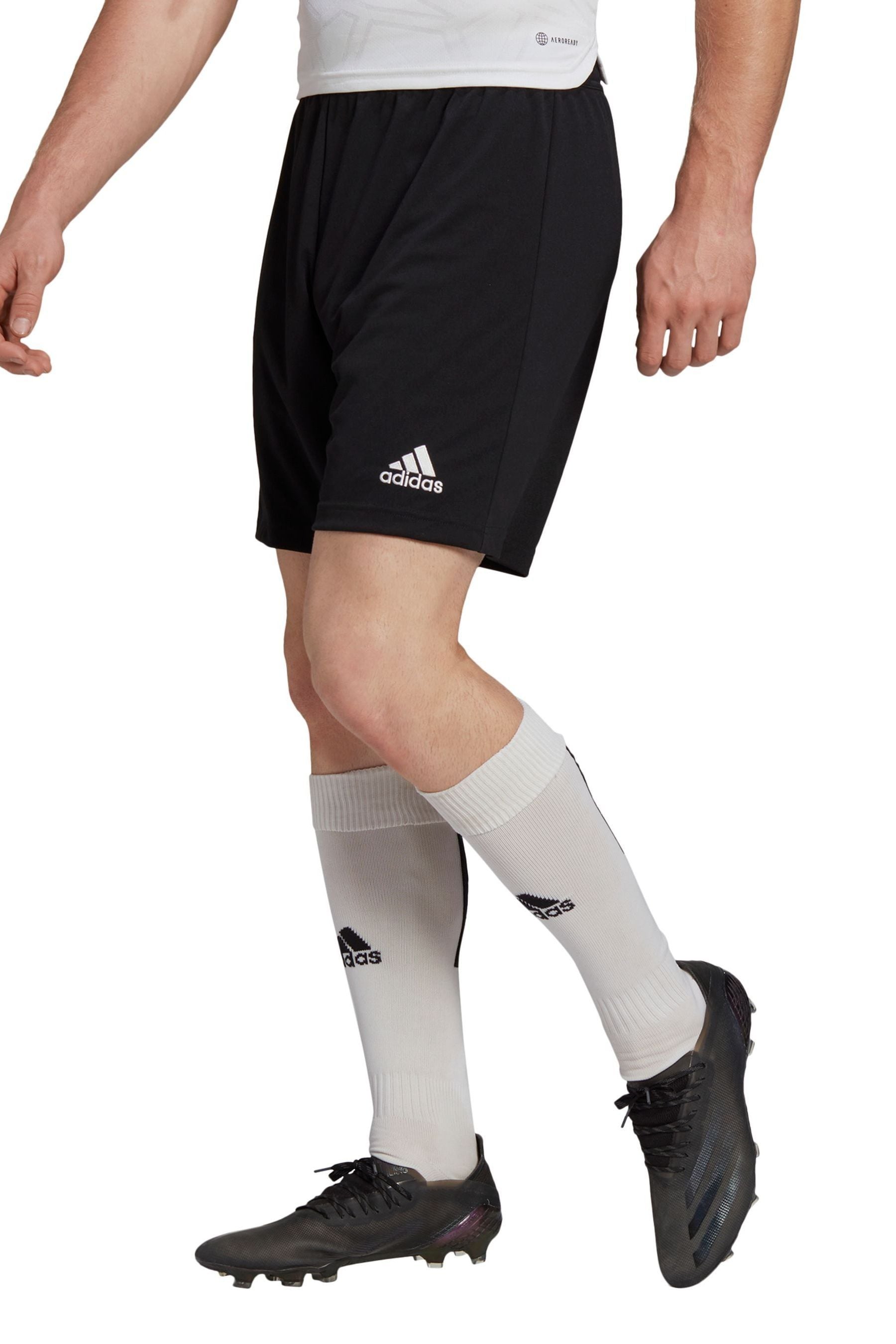 Buy adidas Black Entrada Shorts from Next Armenia