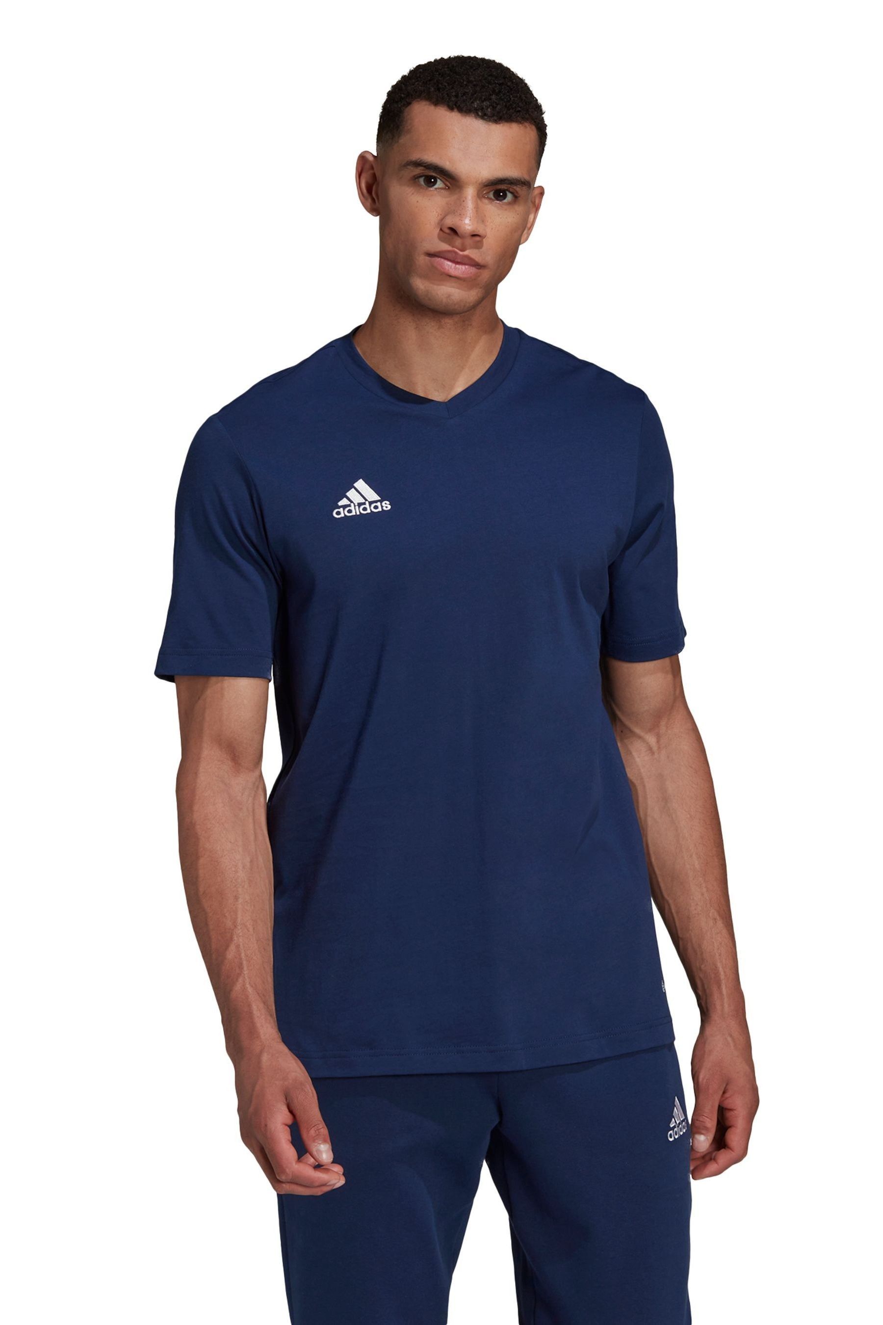 Buy adidas Navy Blue Entrada 22 T Shirt from Next Luxembourg