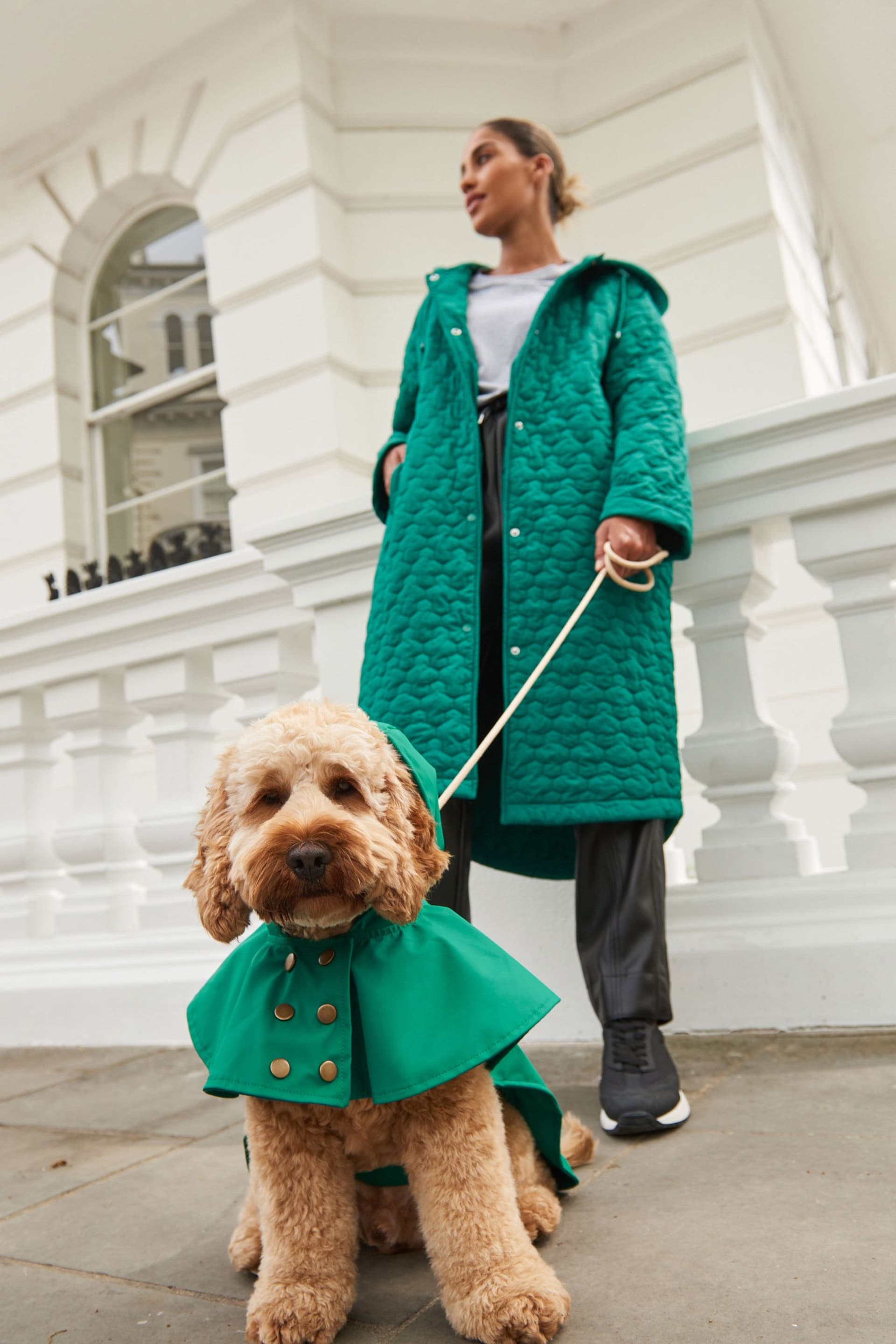 Green Showerproof Dog Coat - Image 3 of 10