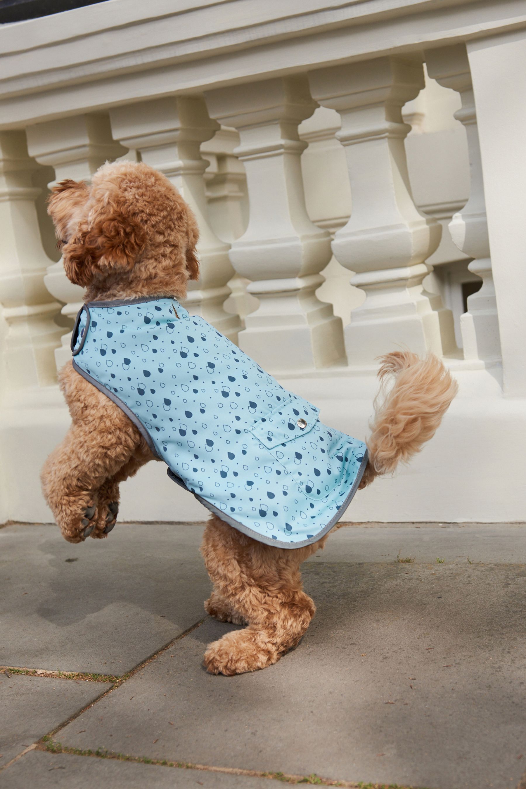 Lightweight dog coat outlet