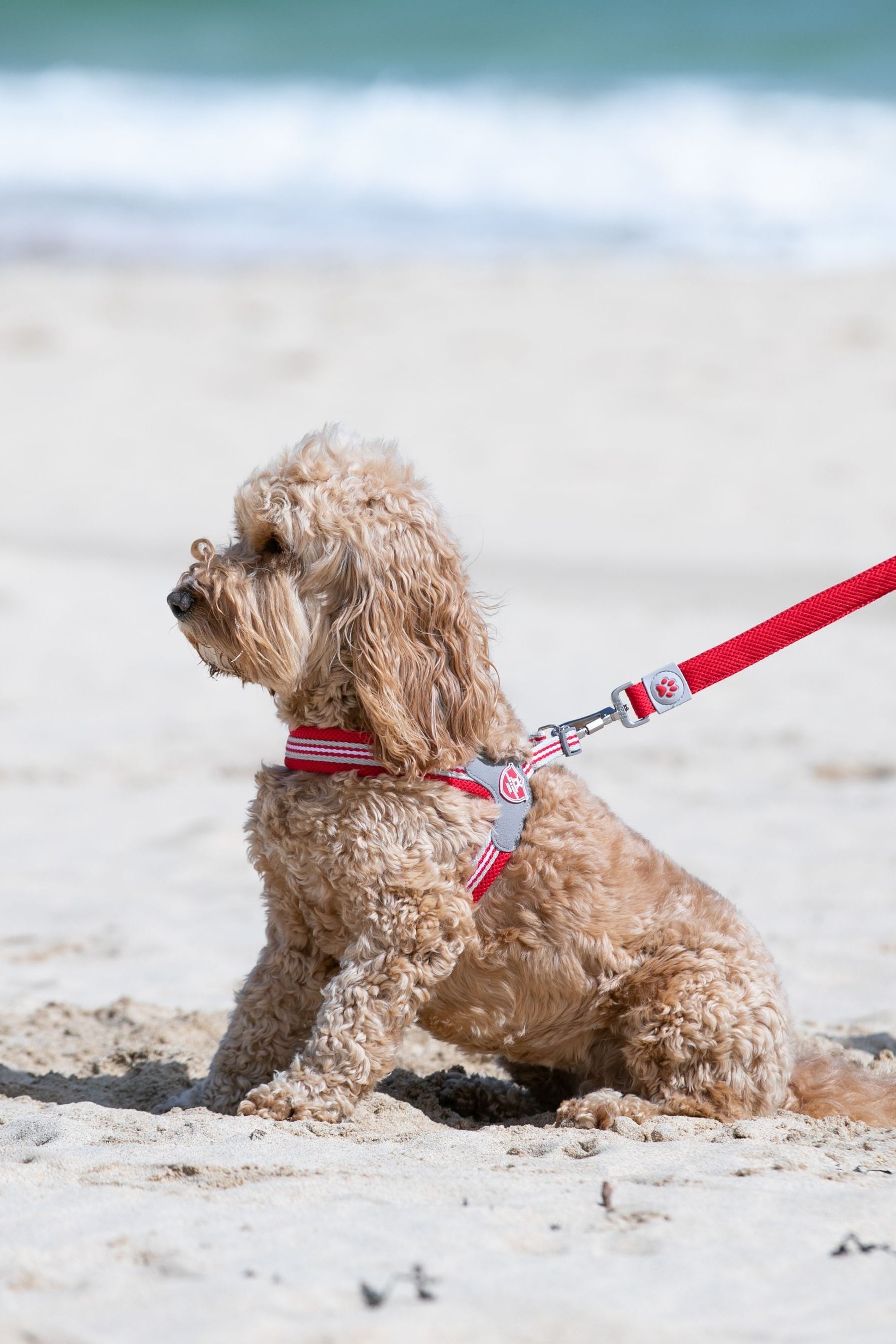 Hugo and hudson easy harness outlet