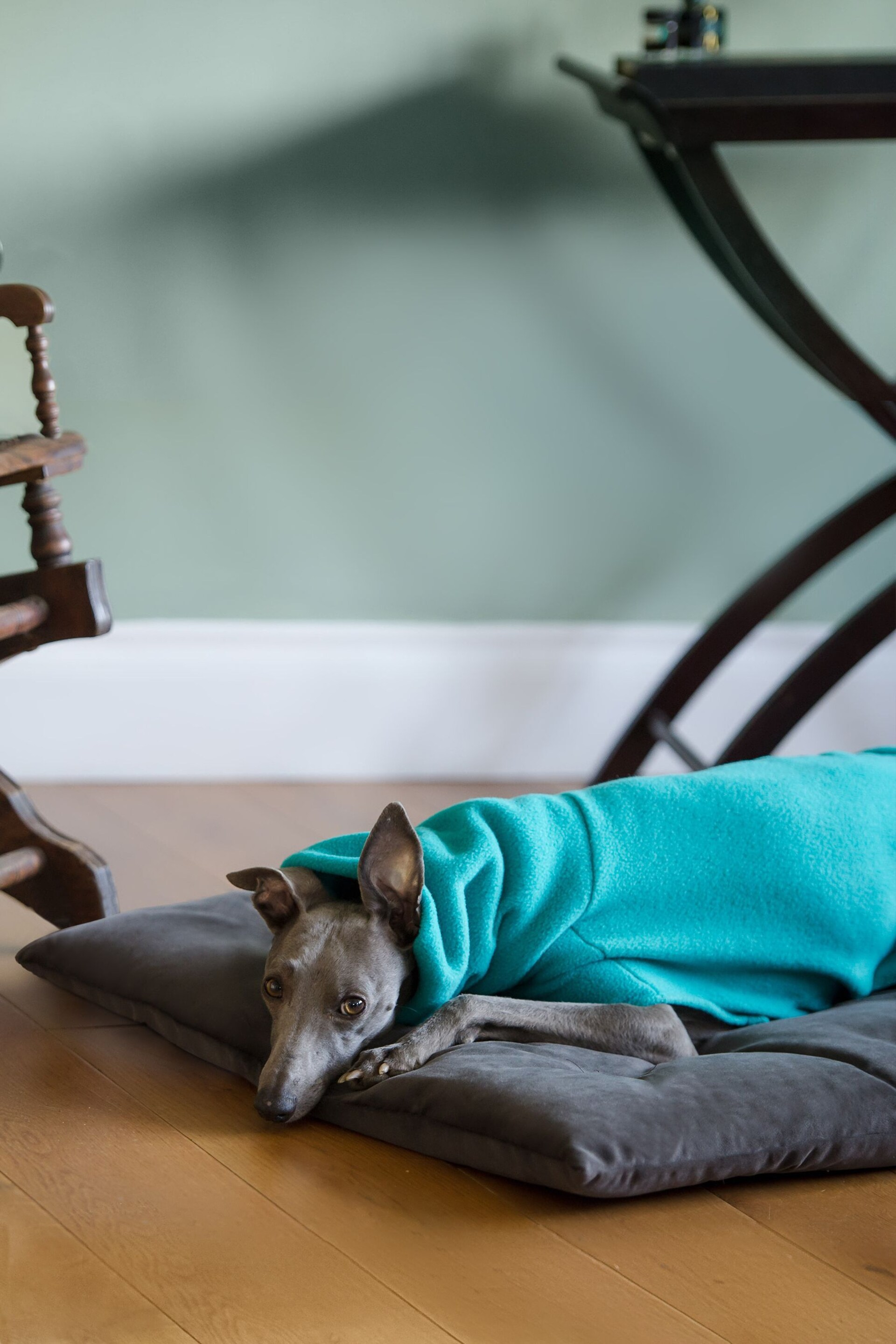 Lounging Hound Brown Travel Bed Roll in Mole Plush Velvet - Image 2 of 4
