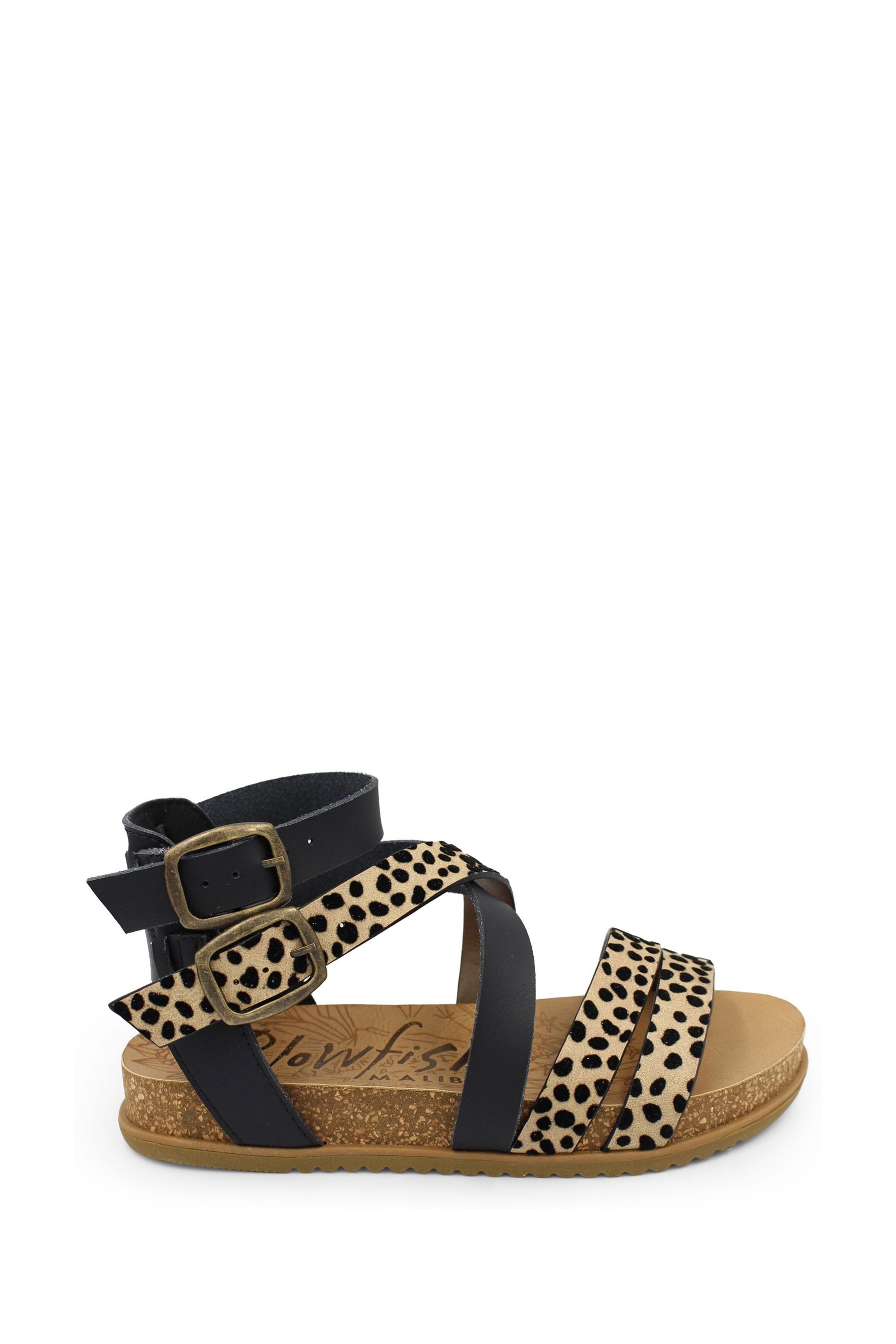 Blowfish leopard hotsell