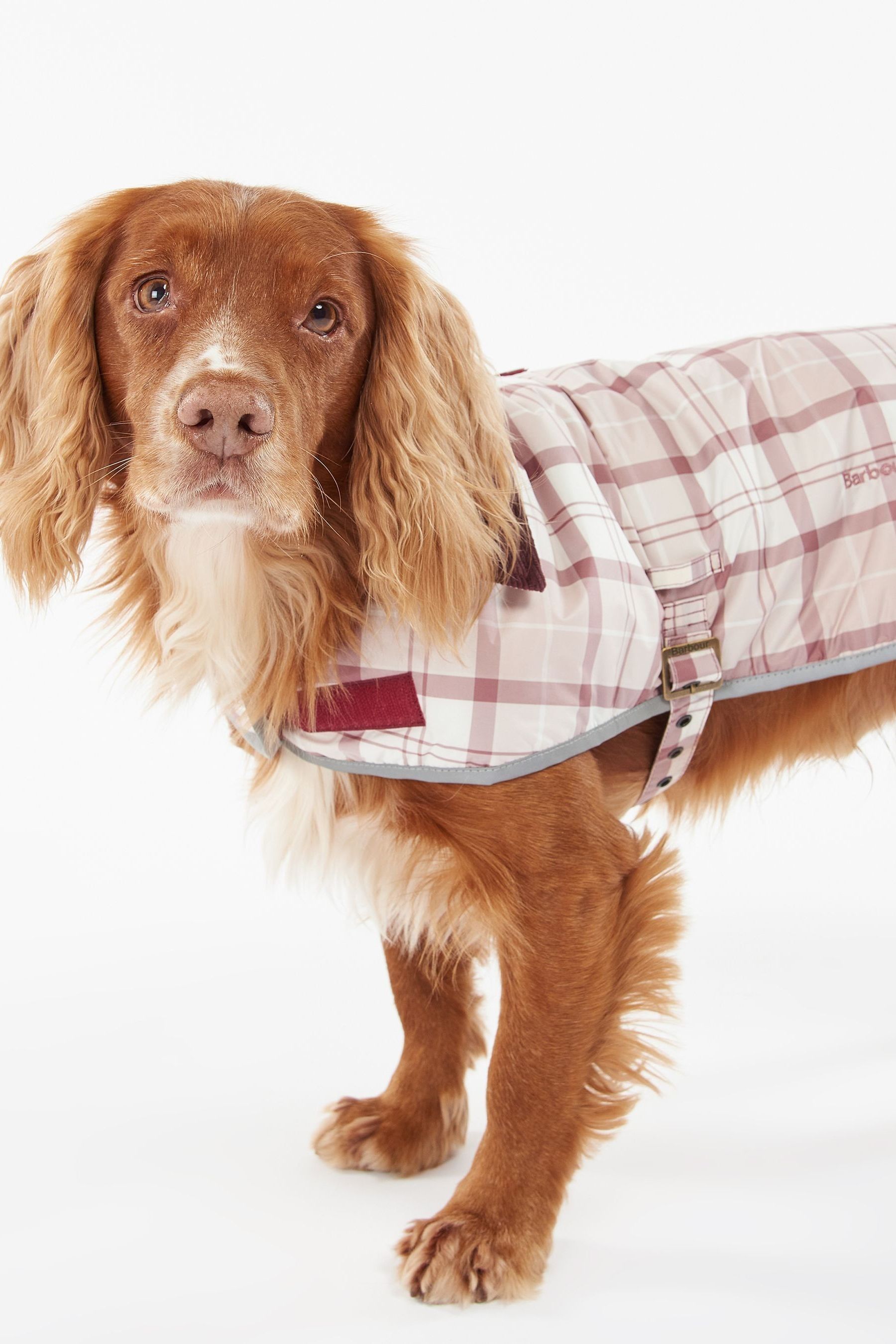 Pink dog barbour coat on sale