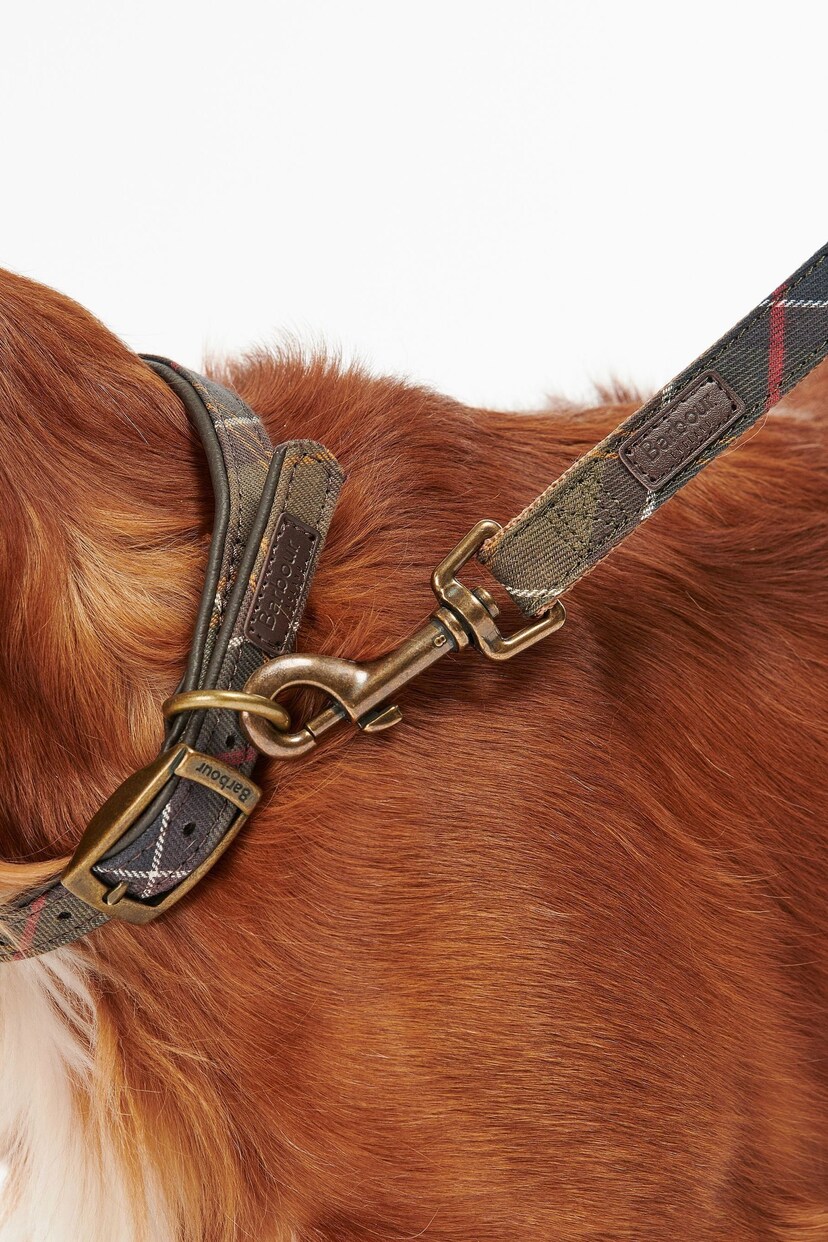 Barbour® Multi Classic Tartan Webbing Dog Lead - Image 3 of 7