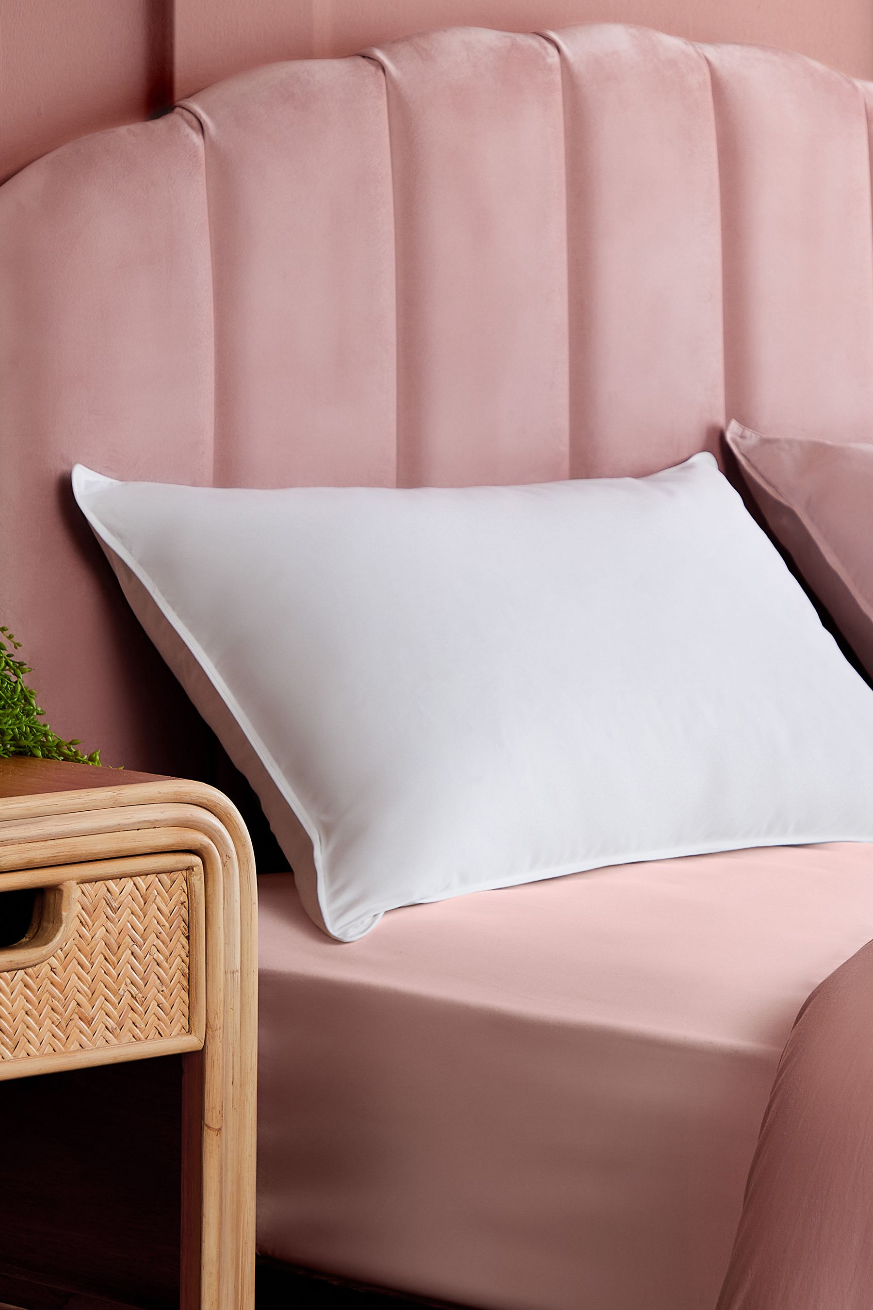 Silent night goose feather pillows top