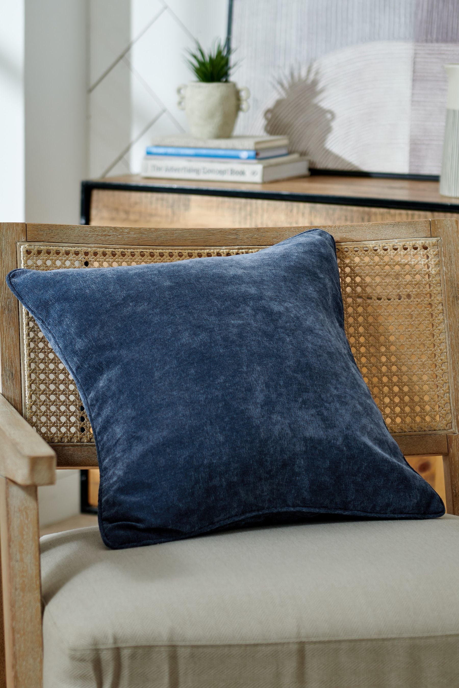 Next velvet cushions online