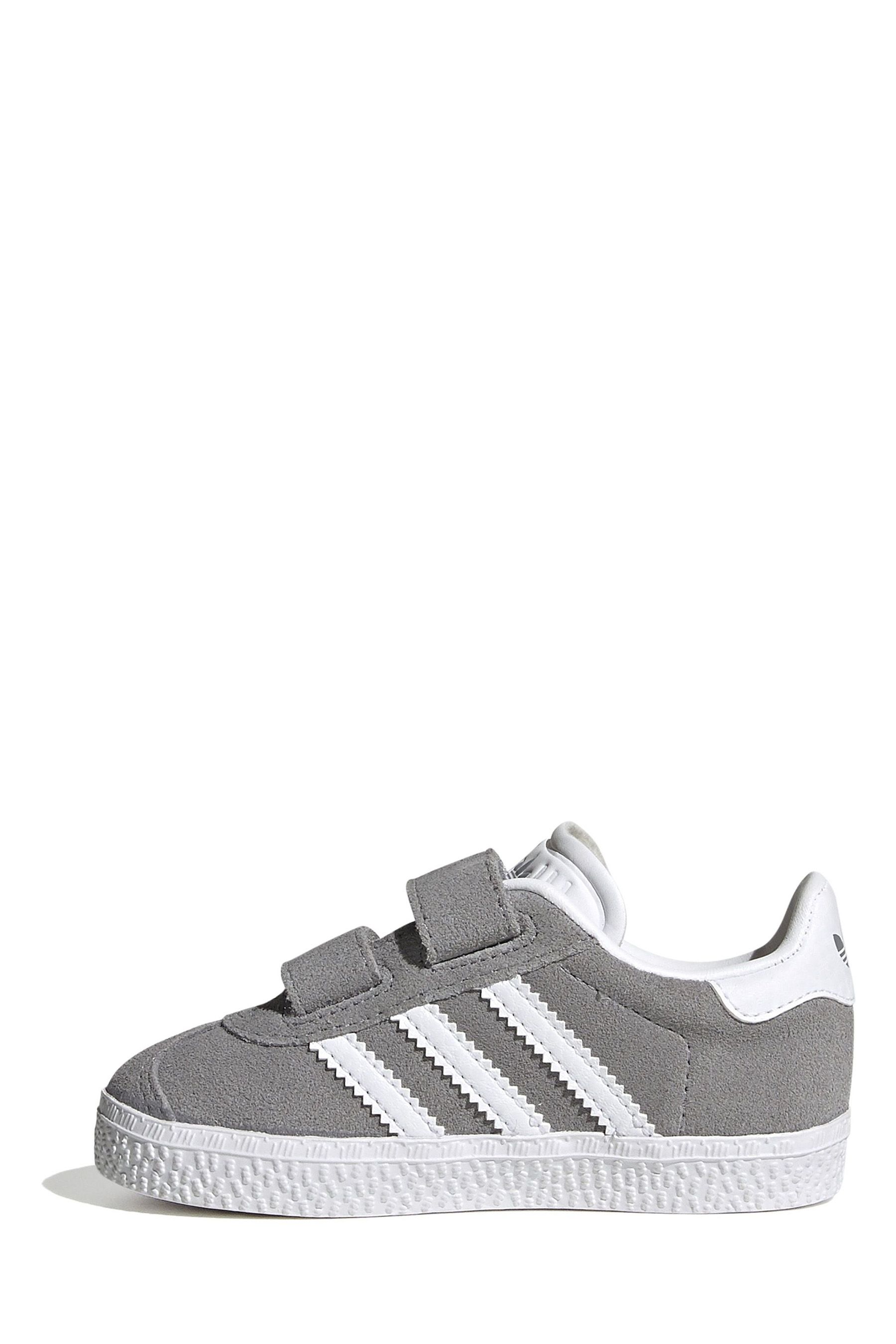 Grey infant gazelle 2025
