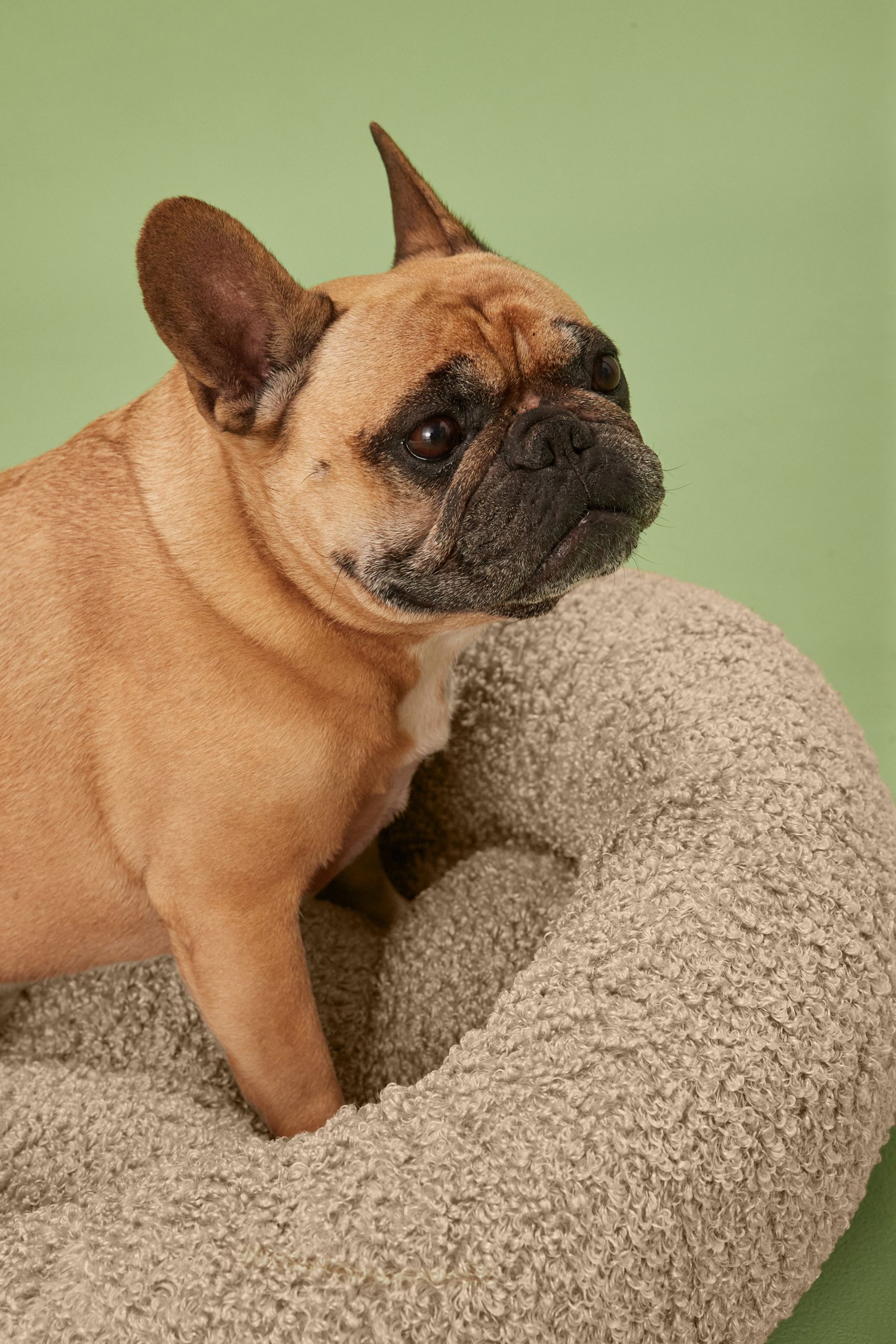 Beige Borg Pet Bed