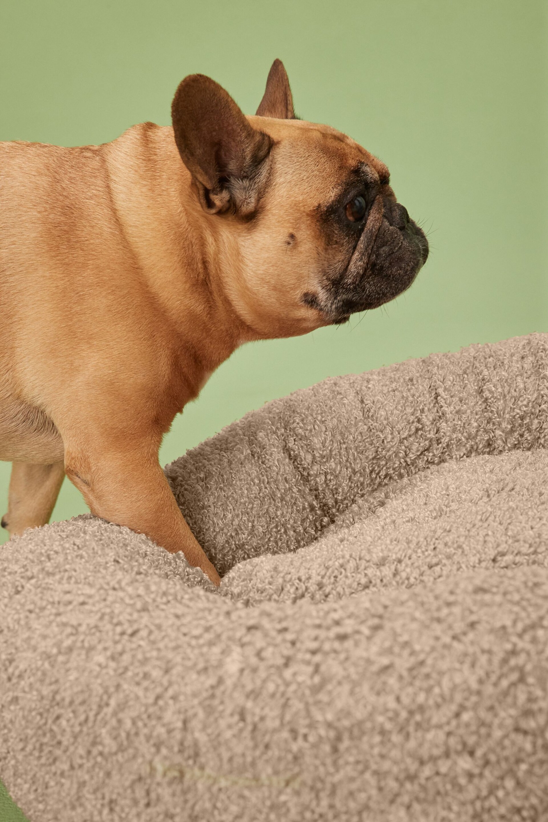 Beige Borg Pet Bed - Image 4 of 7