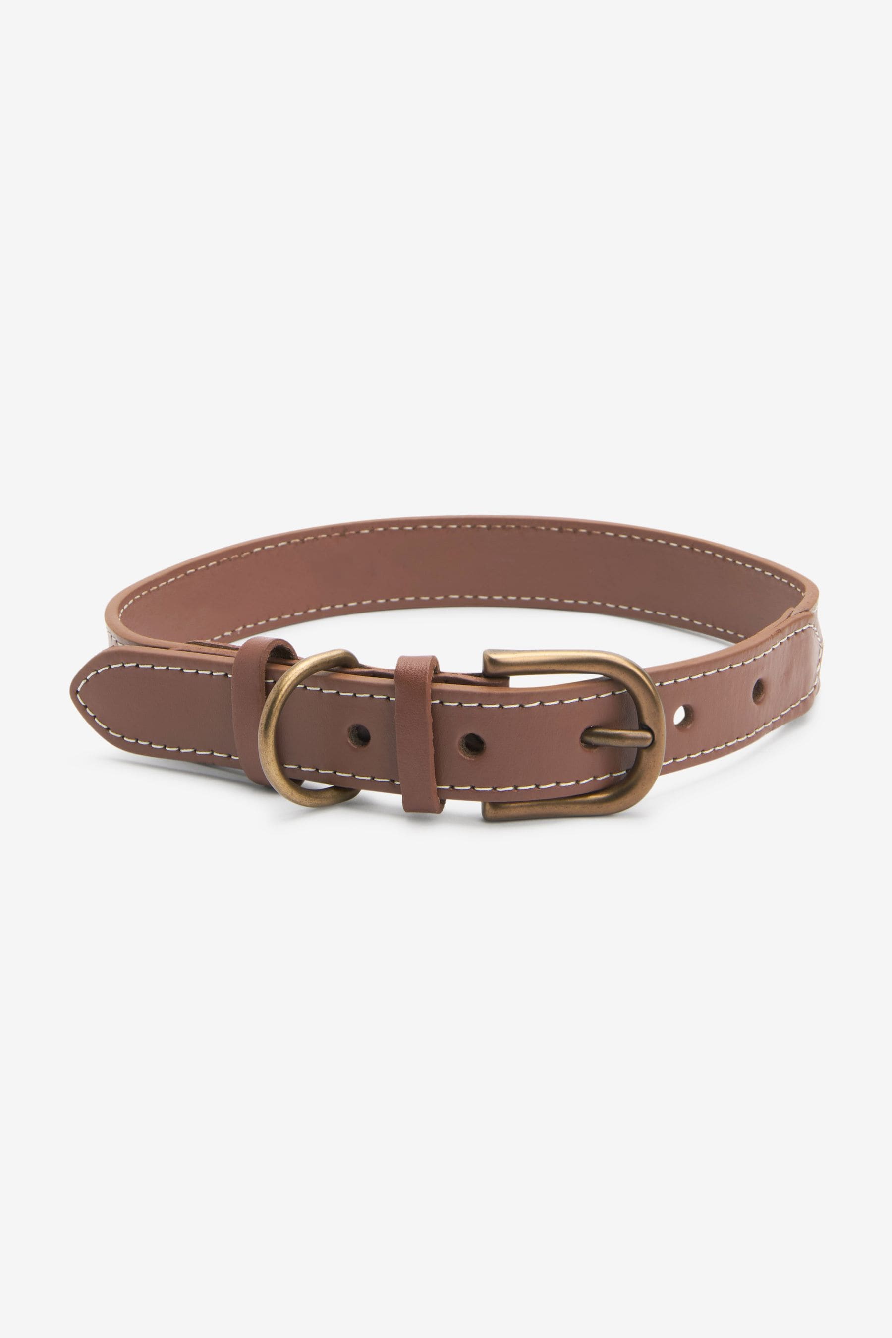 Barbour leather dog collar sale