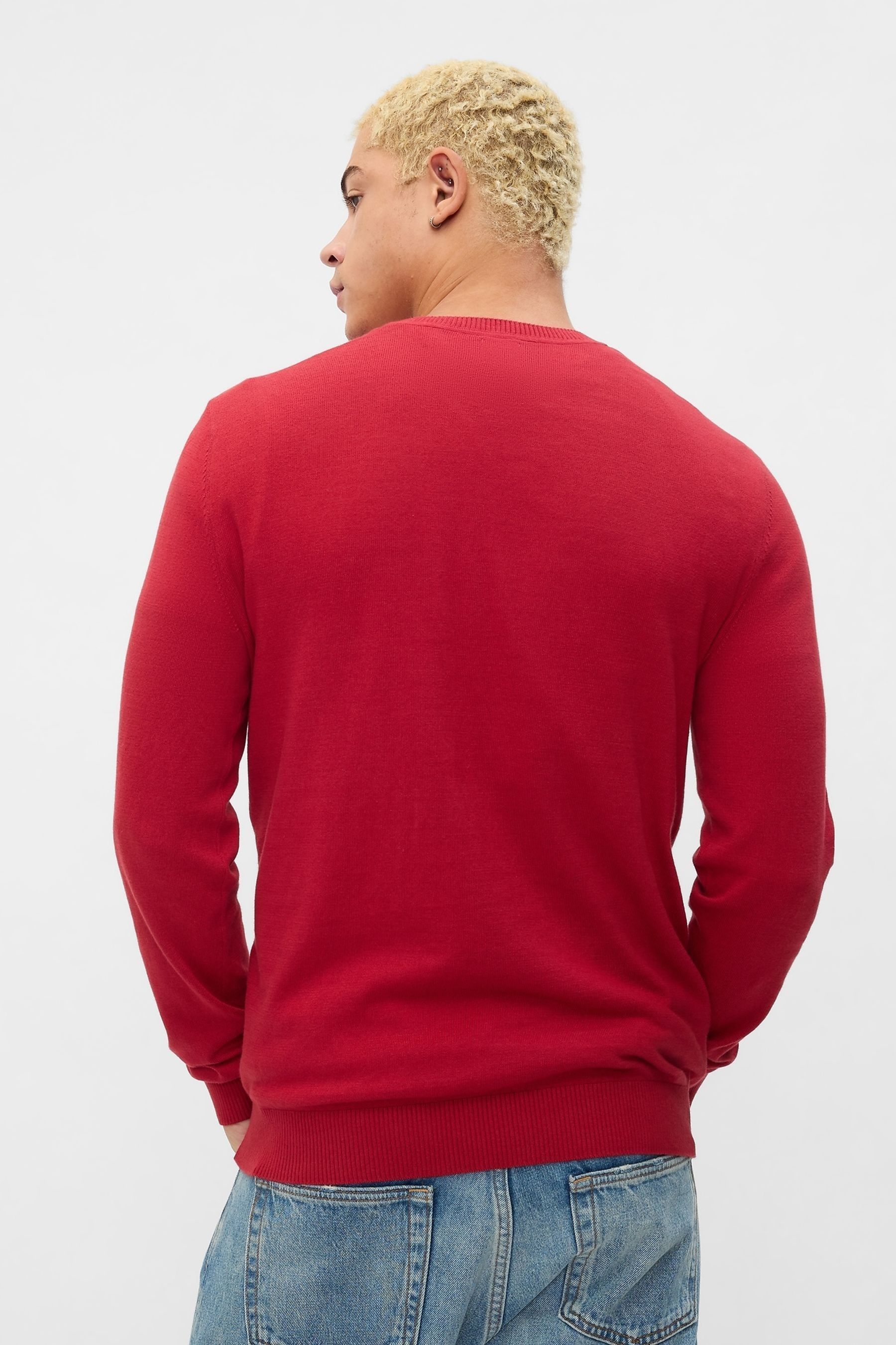 Buy Gap Red Cotton Knit Crew Neck Jumper from Next Luxembourg