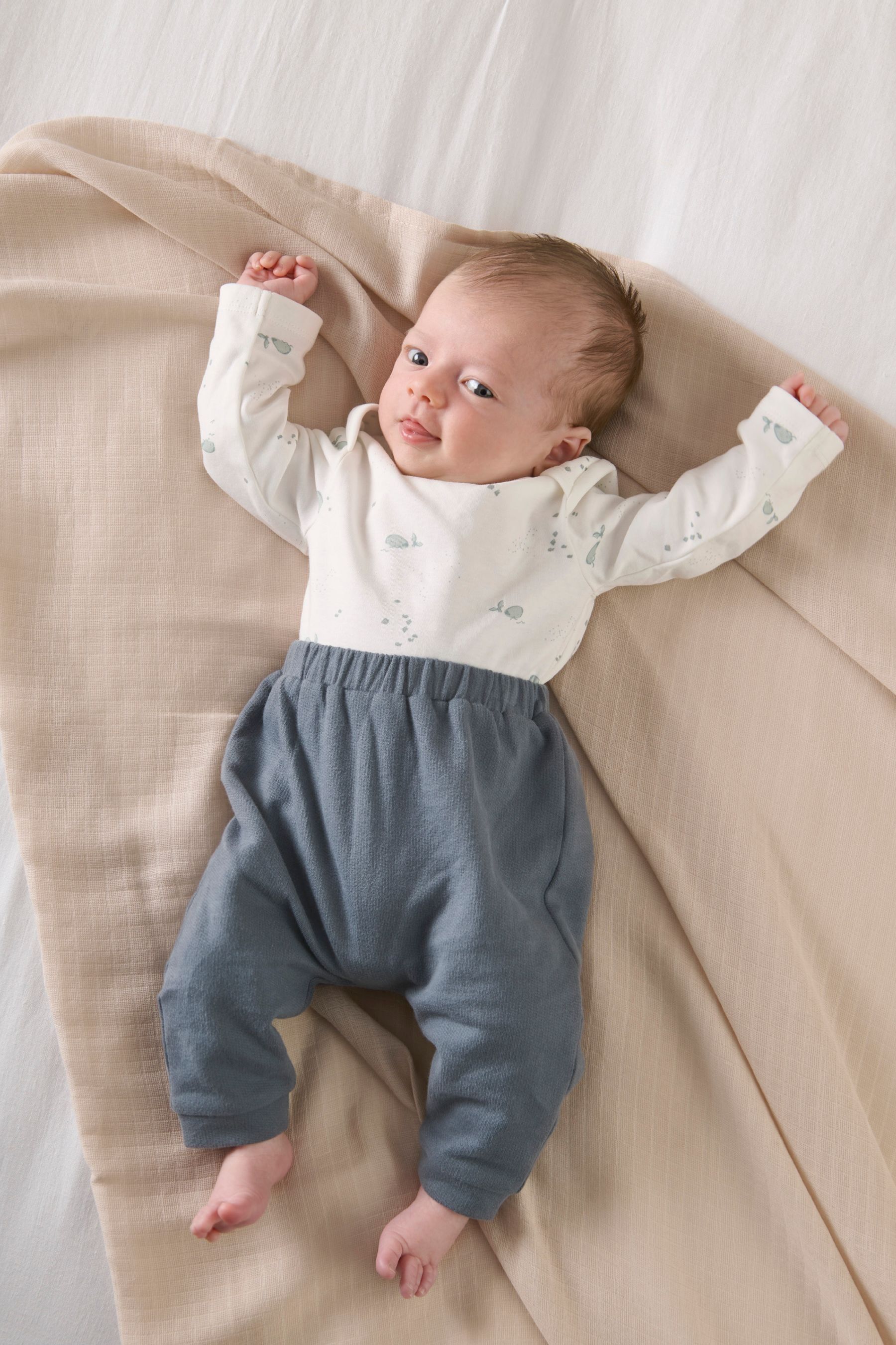 Buy Mamas Papas Blue Whale Jacket Leggings Bodysuit Outfit Set from Next Canada